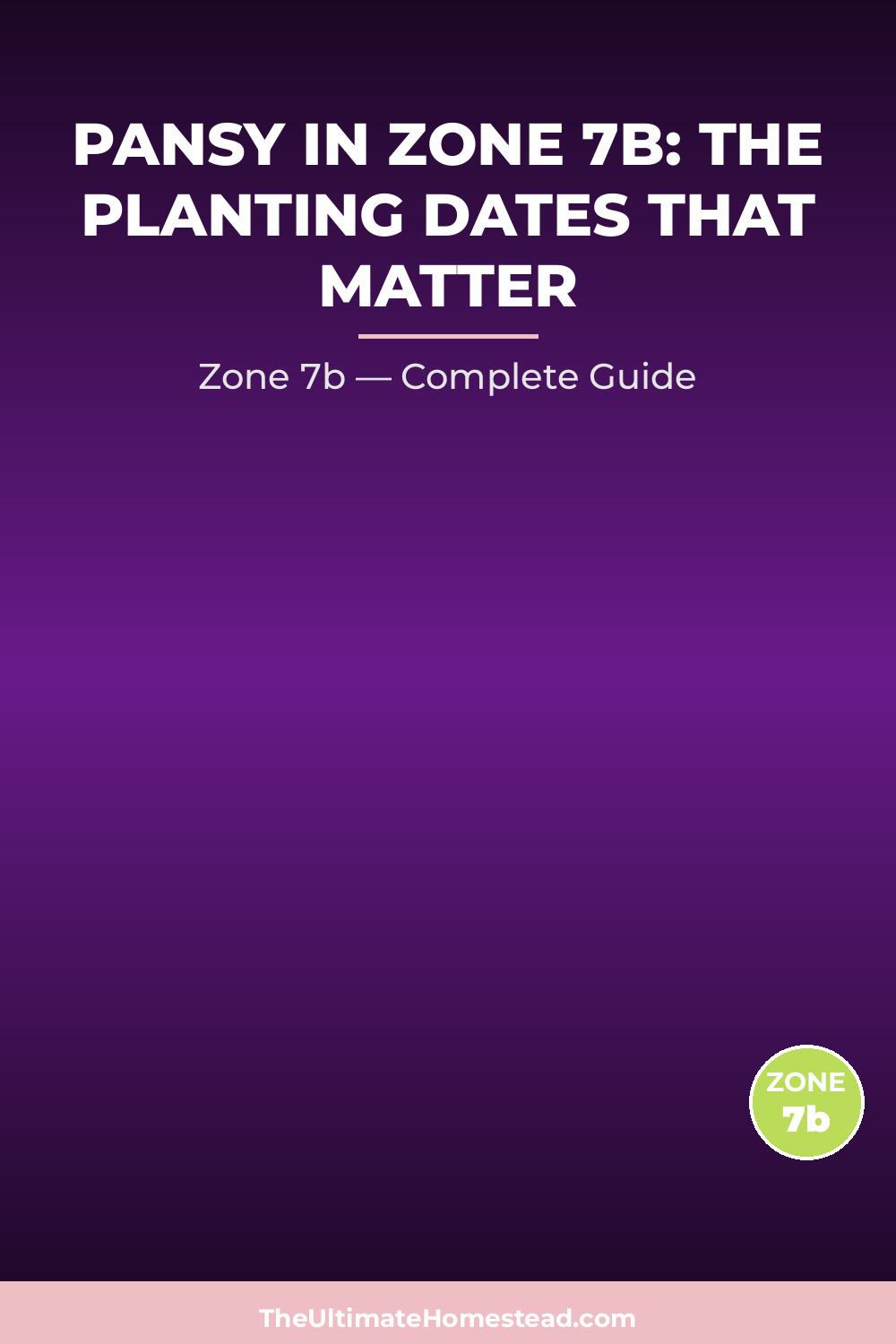 When to Plant Pansy in Zone 7b
