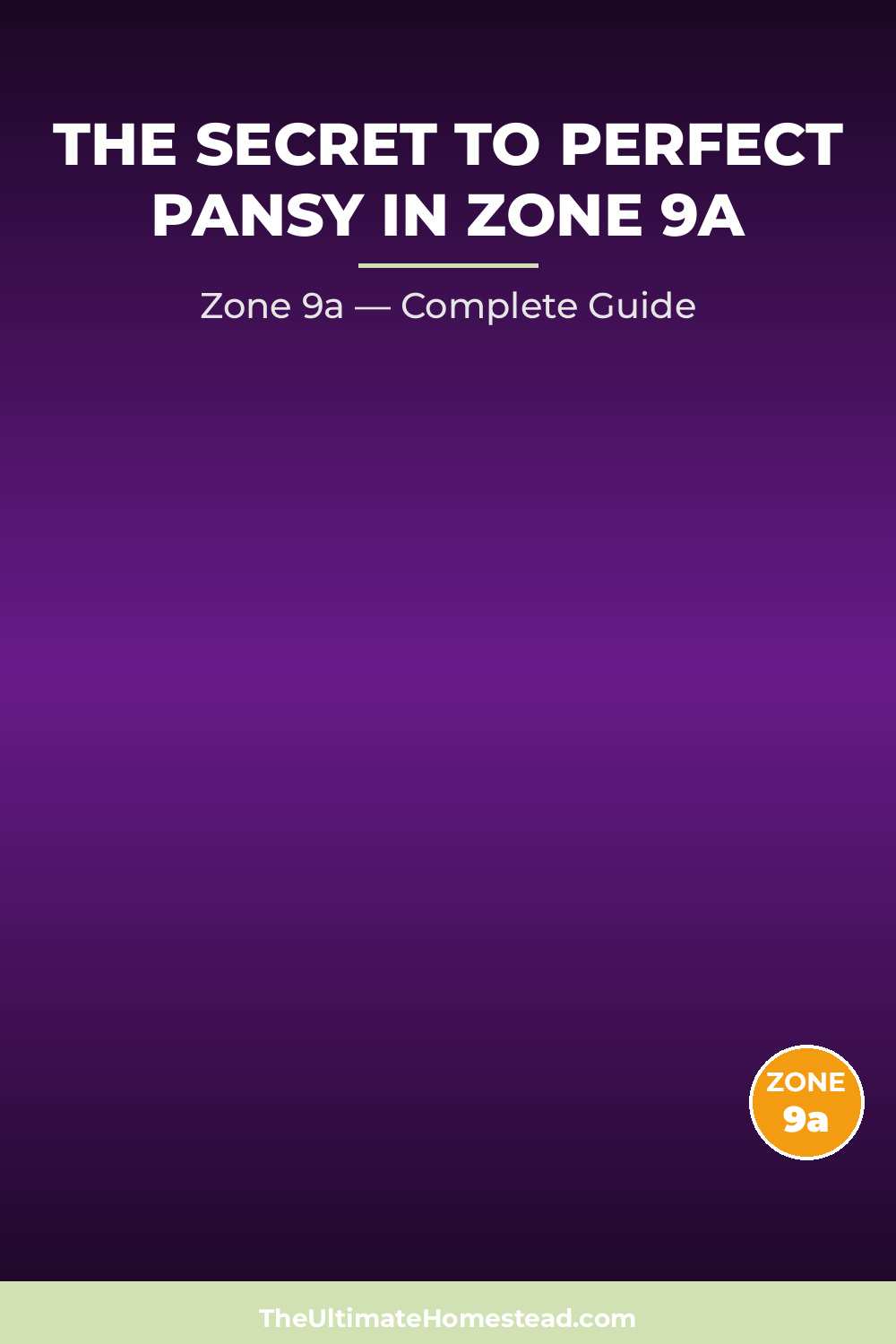 When to Plant Pansy in Zone 9a