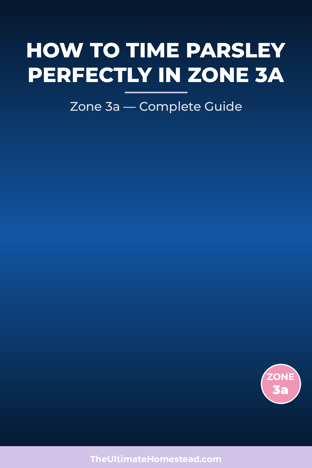 When to Plant Parsley in Zone 3a