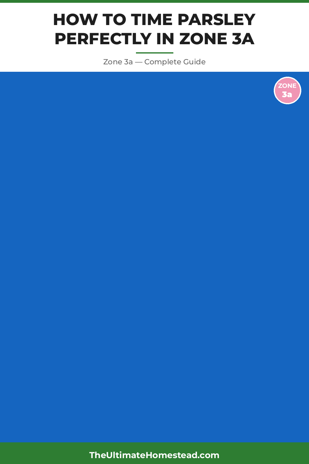 When to Plant Parsley in Zone 3a