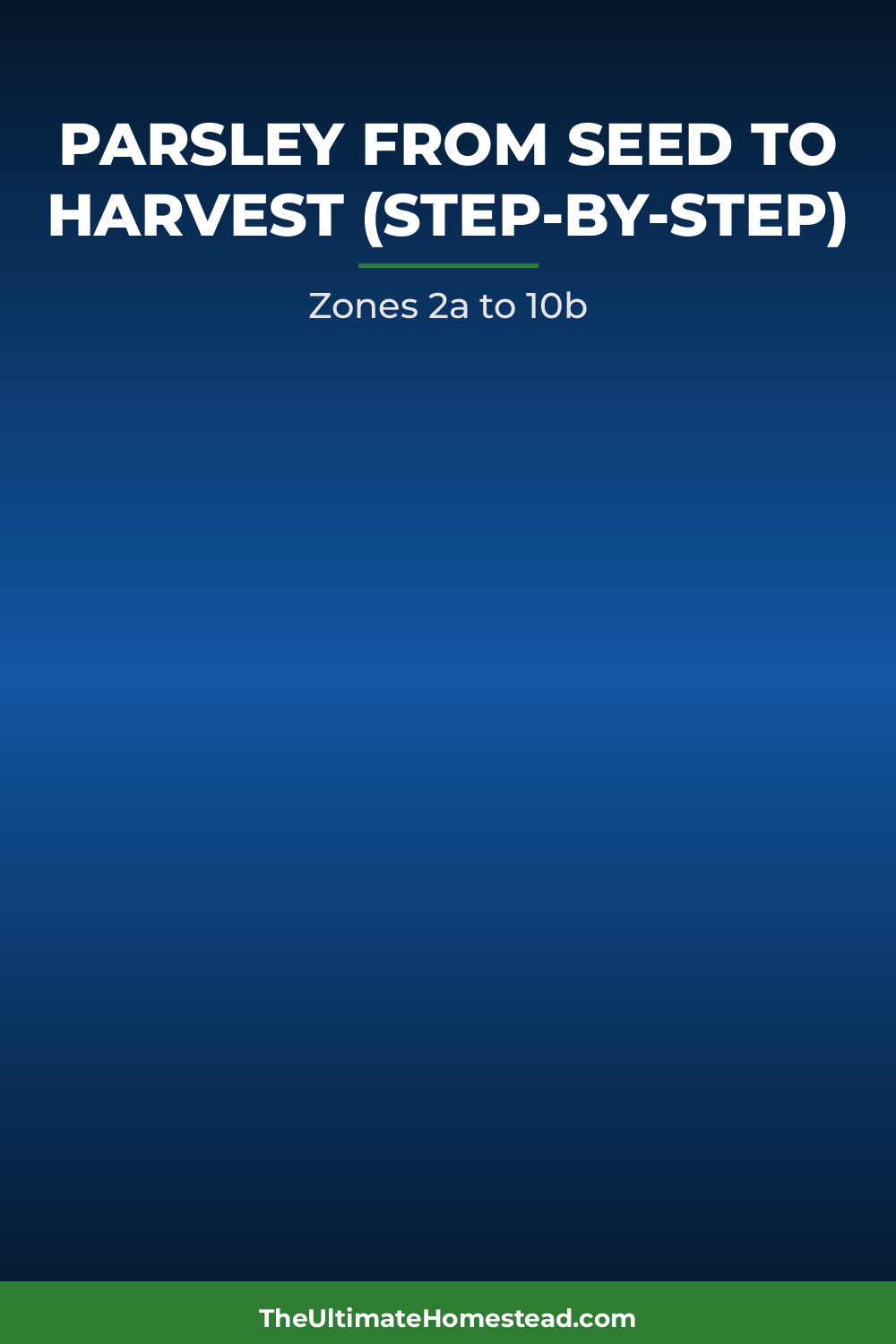 Parsley Planting Guide