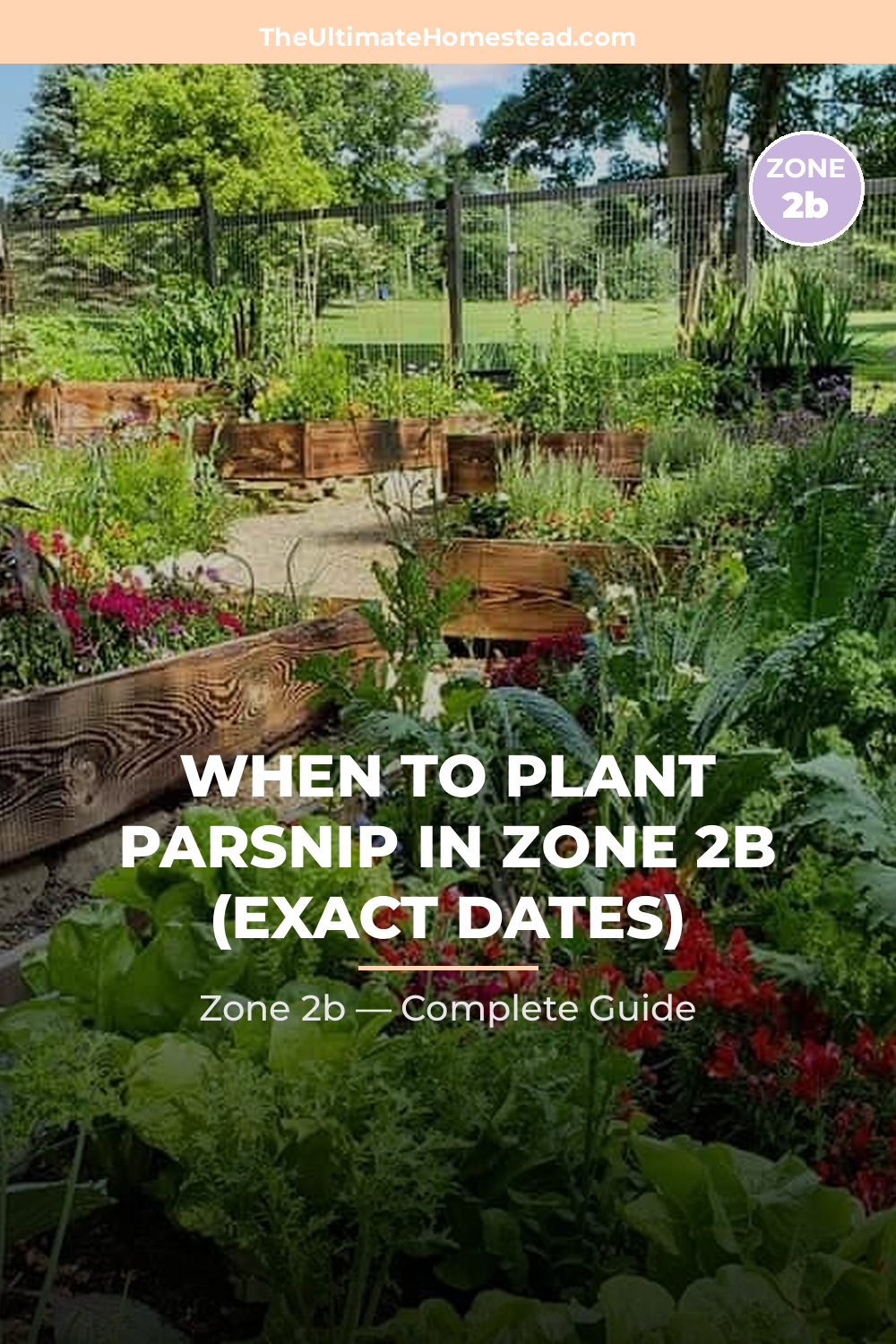 When to Plant Parsnip in Zone 2b