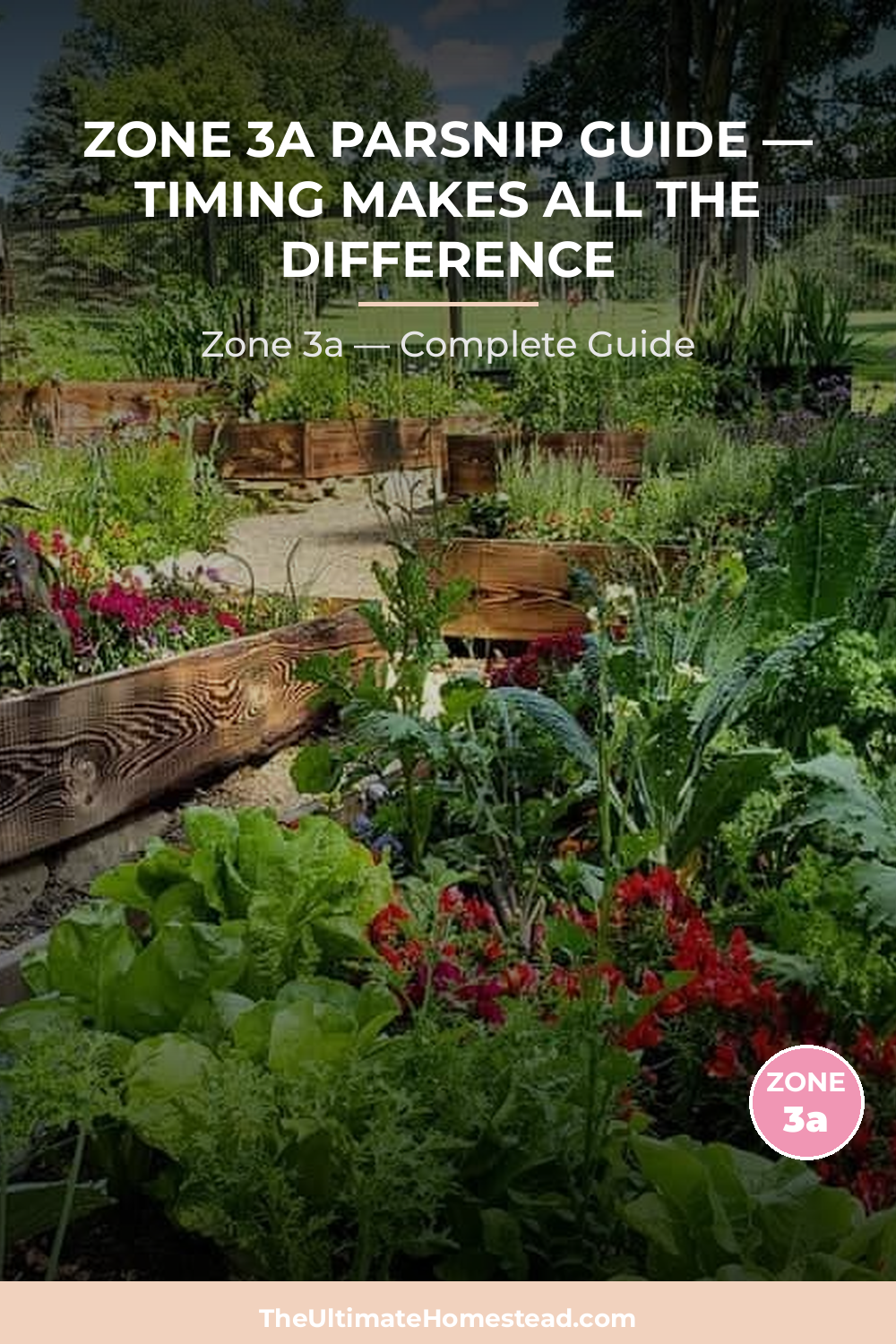 When to Plant Parsnip in Zone 3a