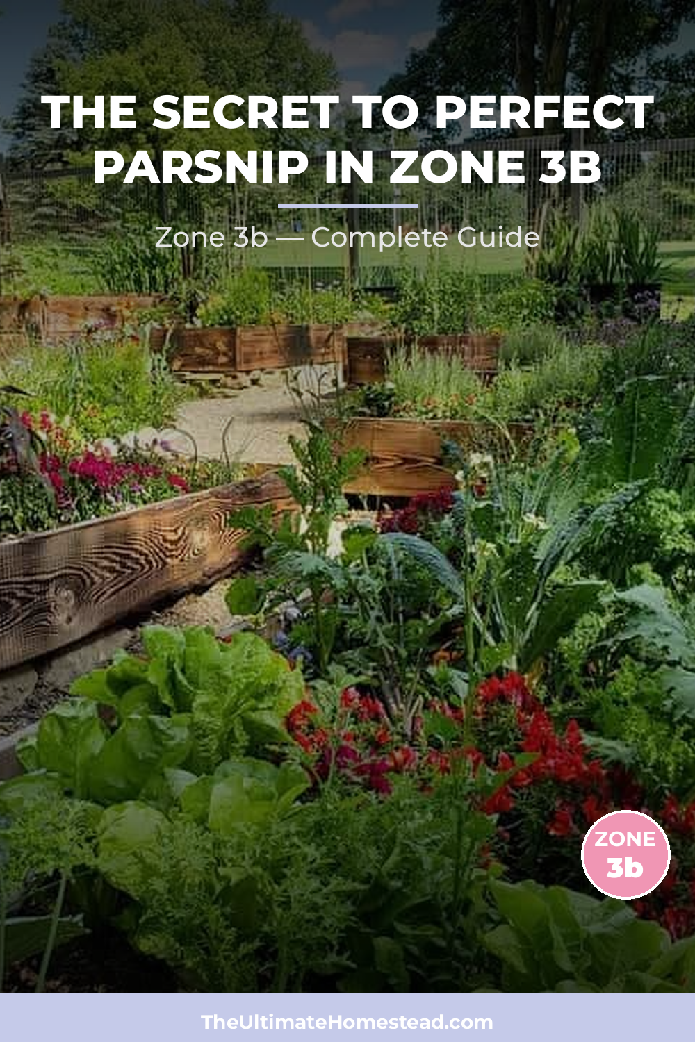 When to Plant Parsnip in Zone 3b