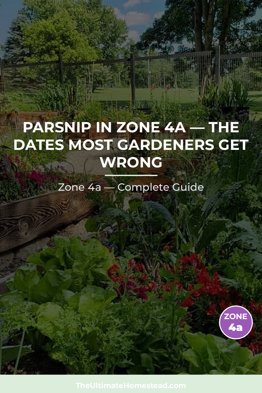 When to Plant Parsnip in Zone 4a