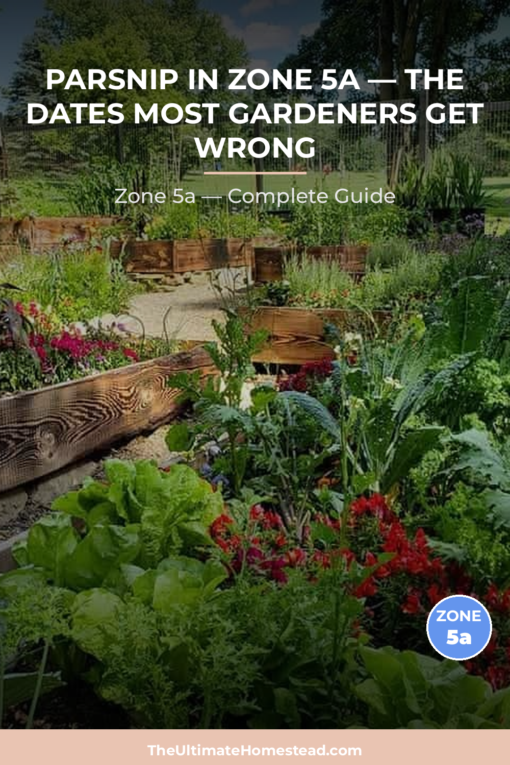 When to Plant Parsnip in Zone 5a