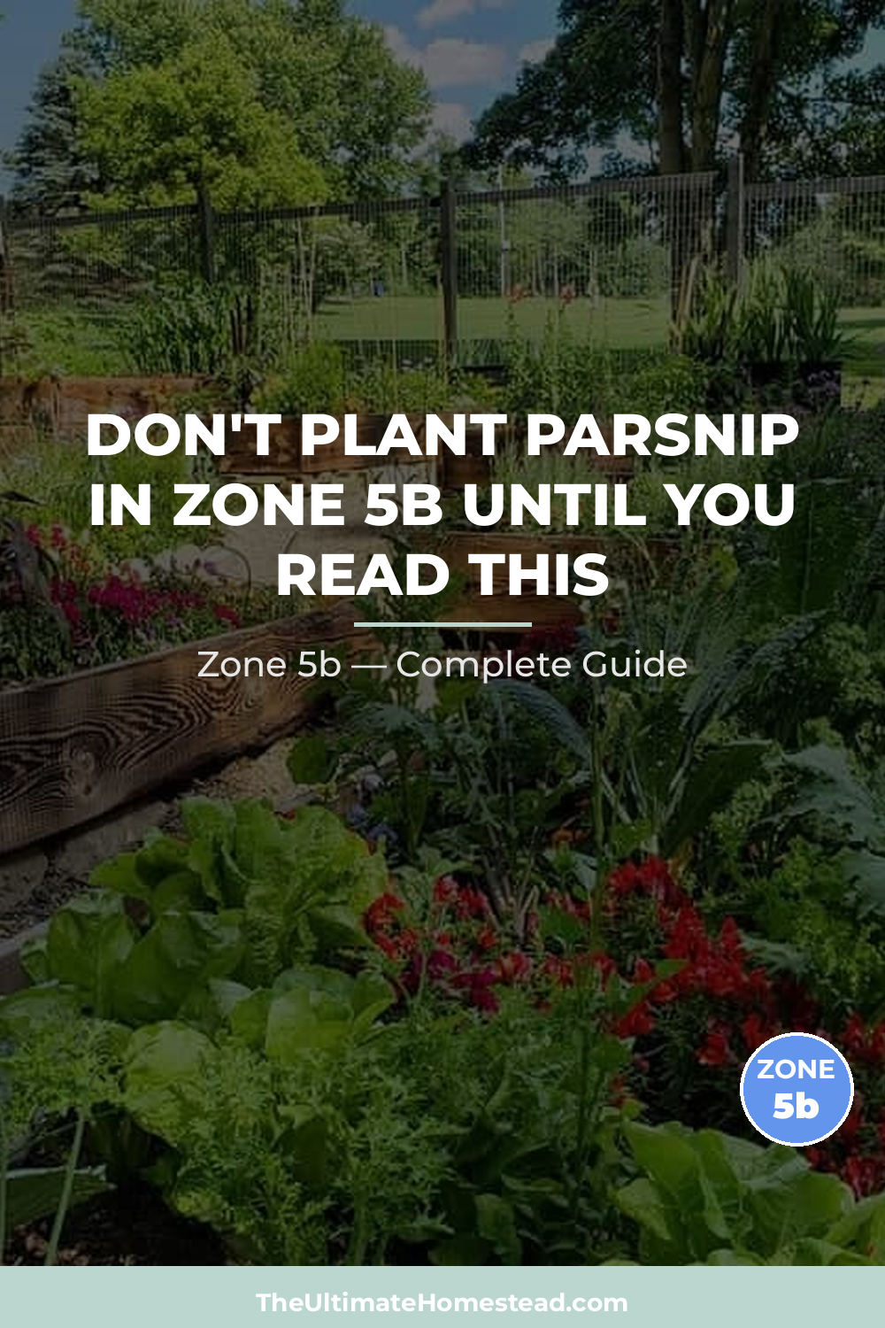 When to Plant Parsnip in Zone 5b