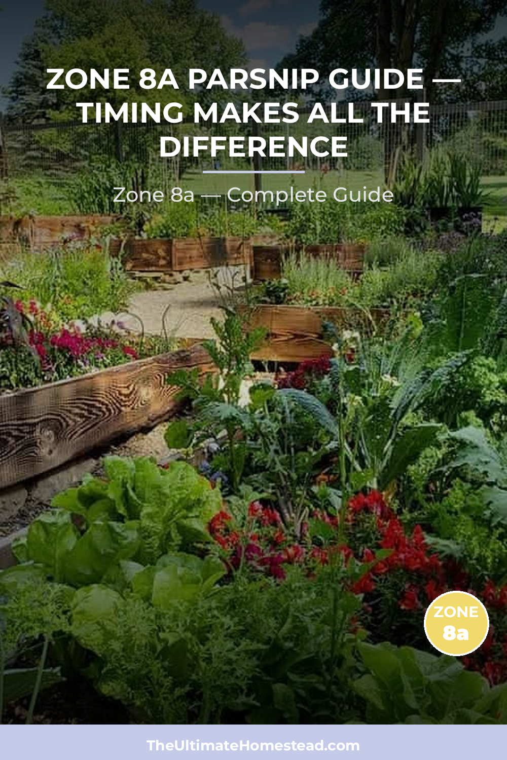 When to Plant Parsnip in Zone 8a