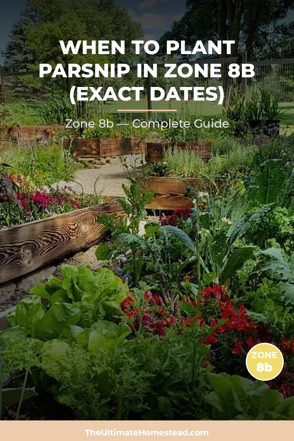 When to Plant Parsnip in Zone 8b