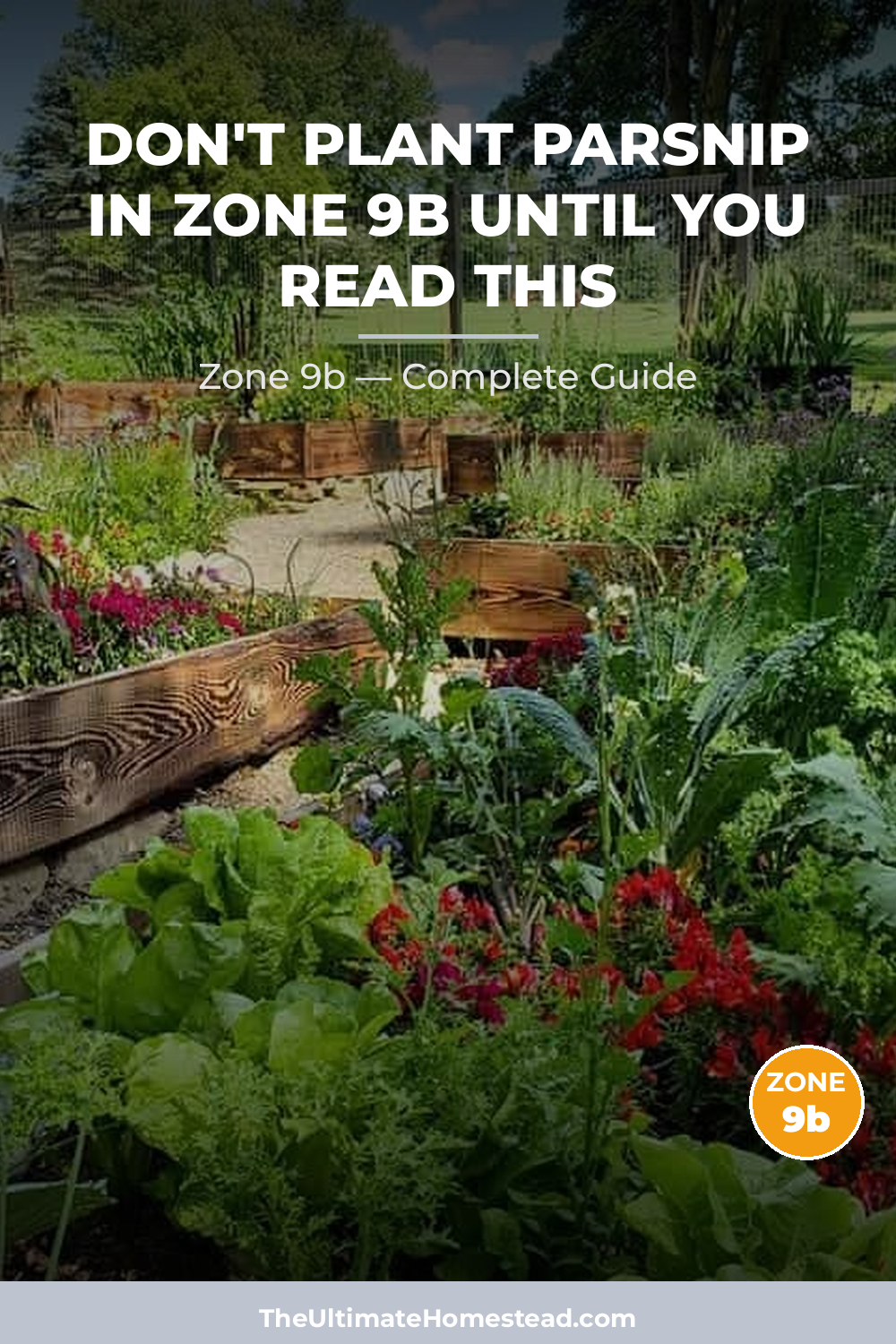 When to Plant Parsnip in Zone 9b