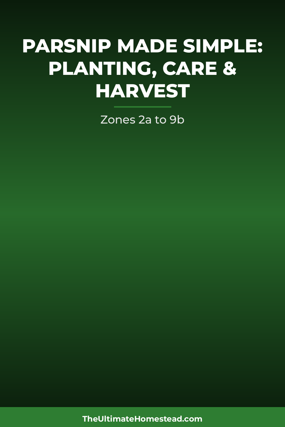 Parsnip Planting Guide