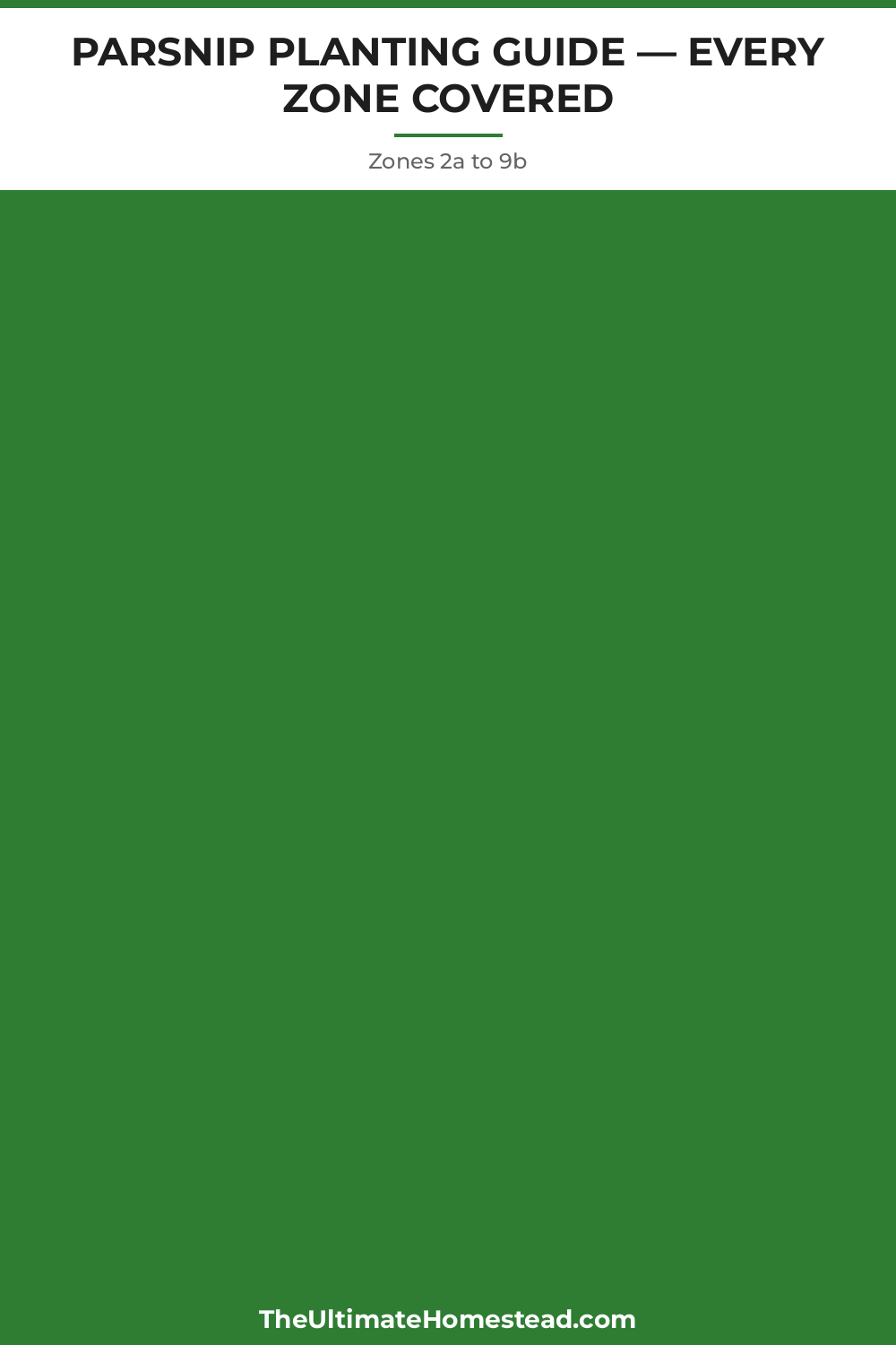 Parsnip Planting Guide