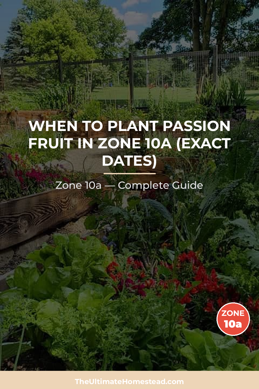 When to Plant Passion Fruit in Zone 10a