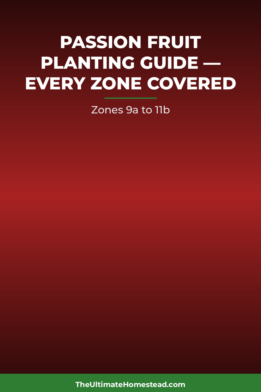 Passion Fruit Planting Guide