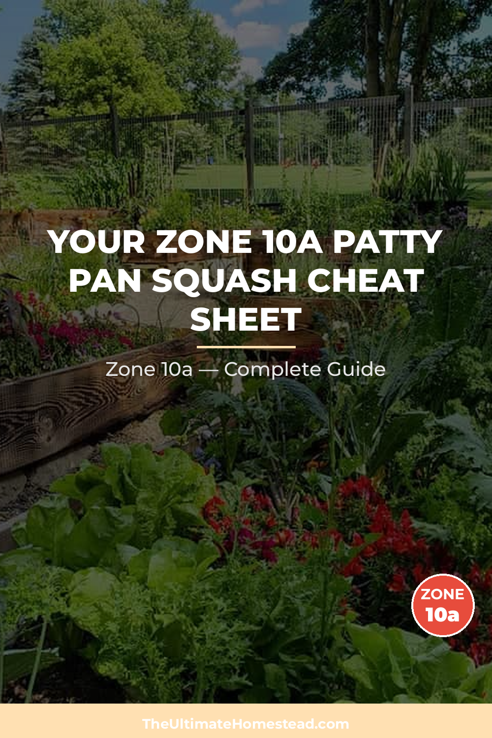When to Plant Patty Pan Squash in Zone 10a