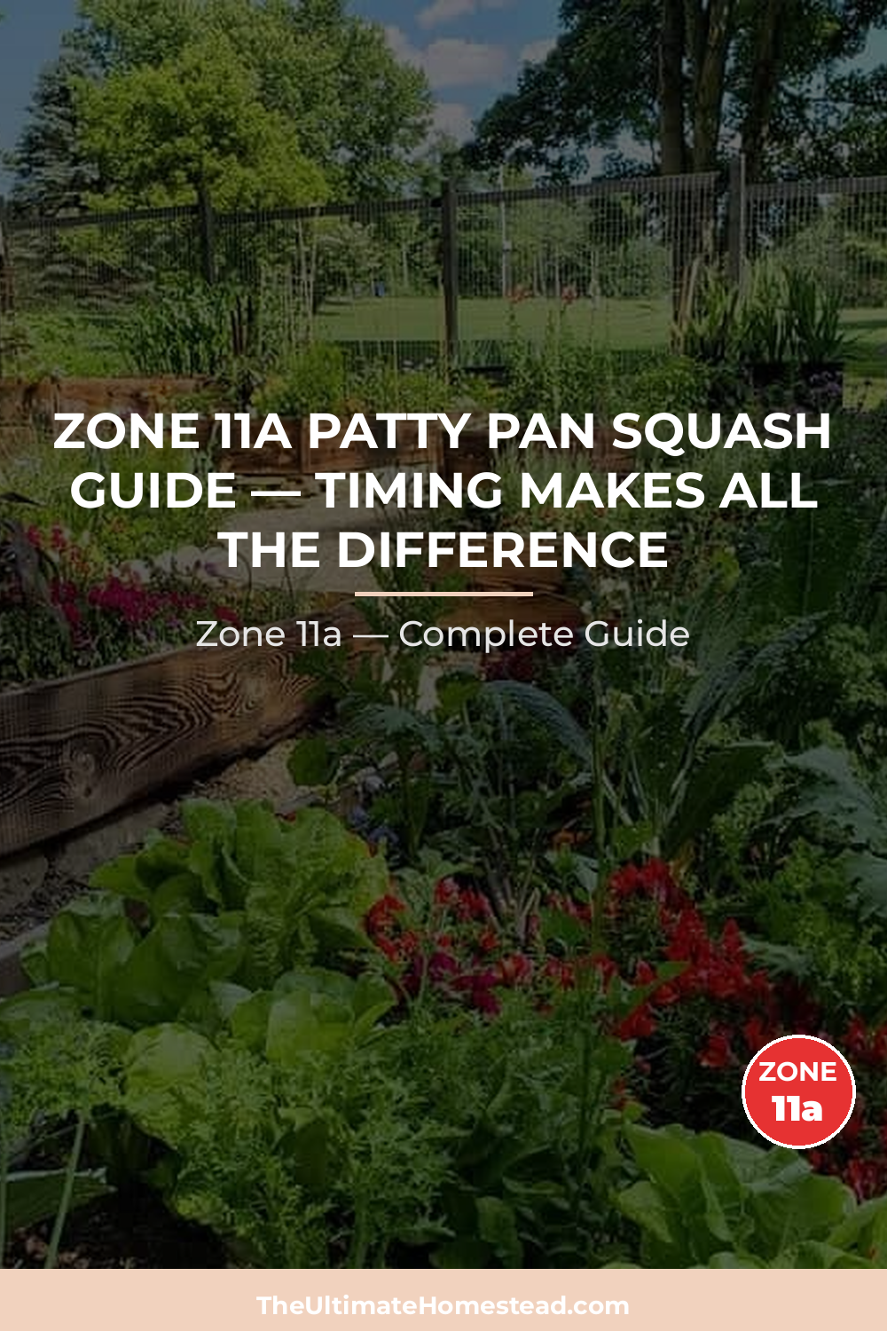 When to Plant Patty Pan Squash in Zone 11a
