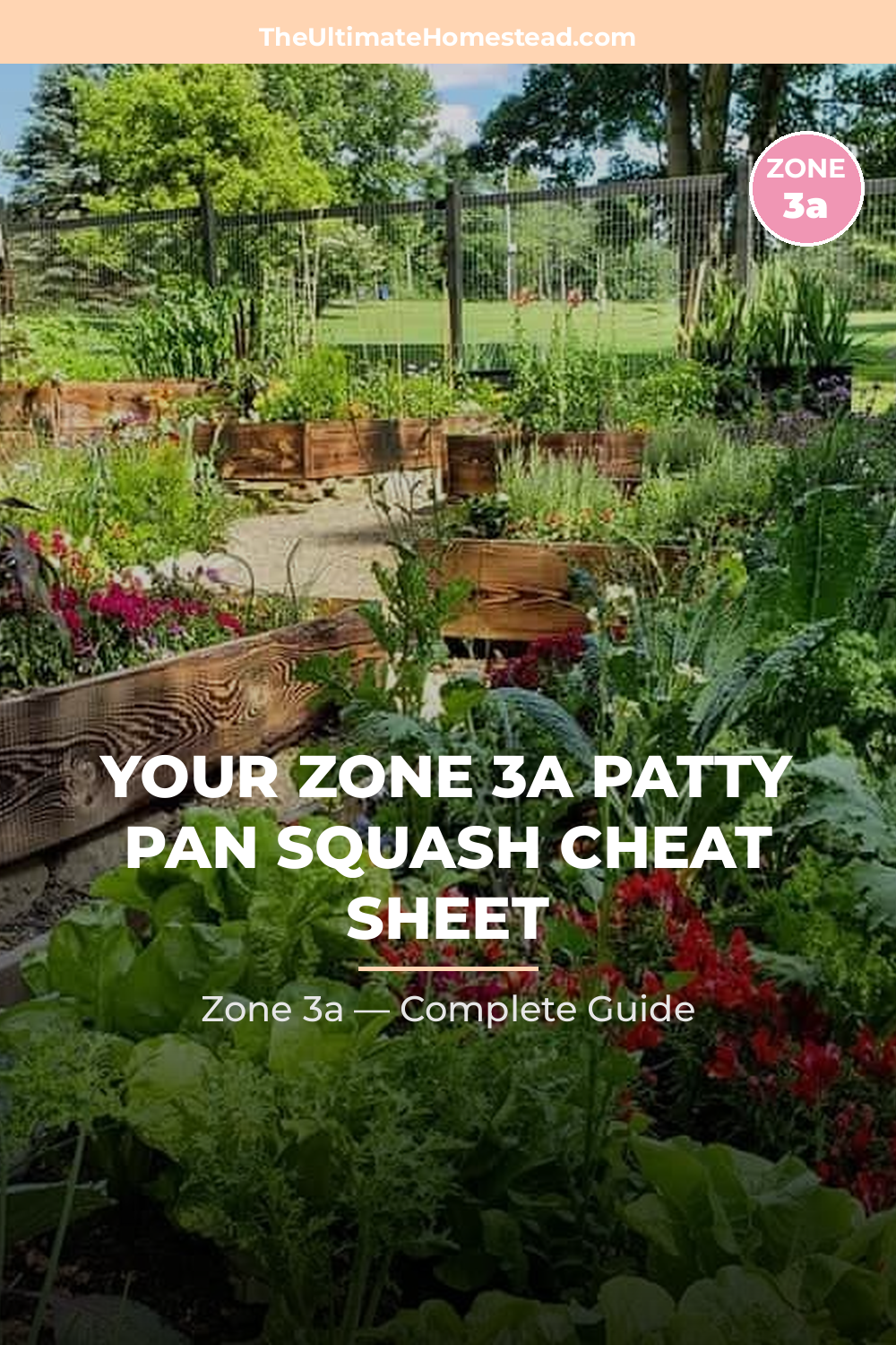 When to Plant Patty Pan Squash in Zone 3a