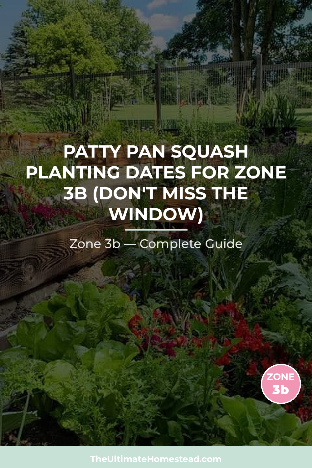 When to Plant Patty Pan Squash in Zone 3b