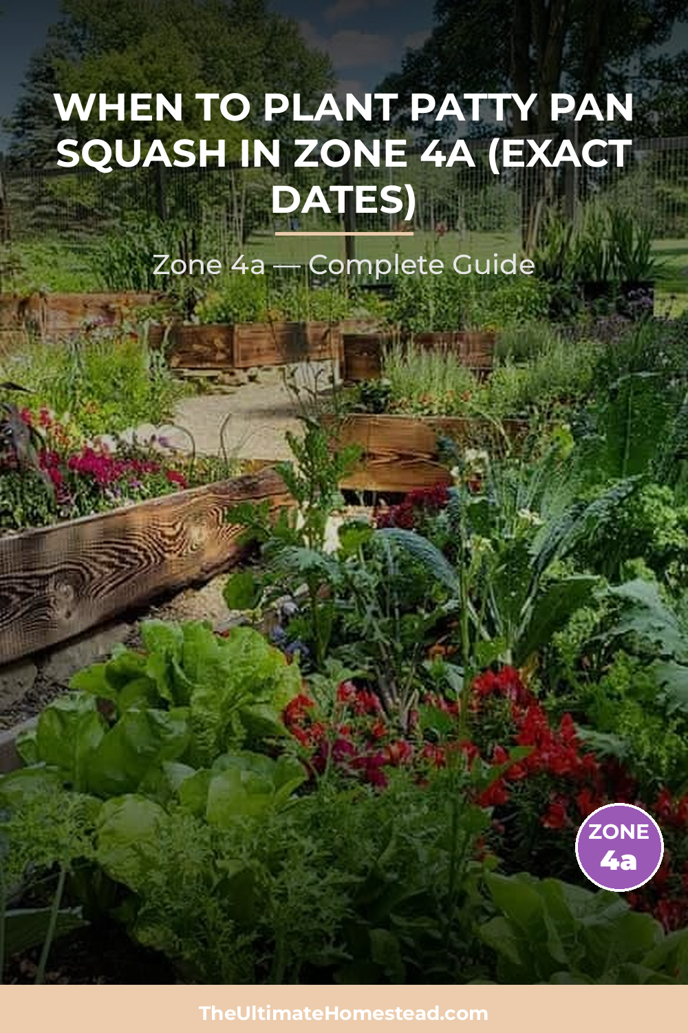 When to Plant Patty Pan Squash in Zone 4a