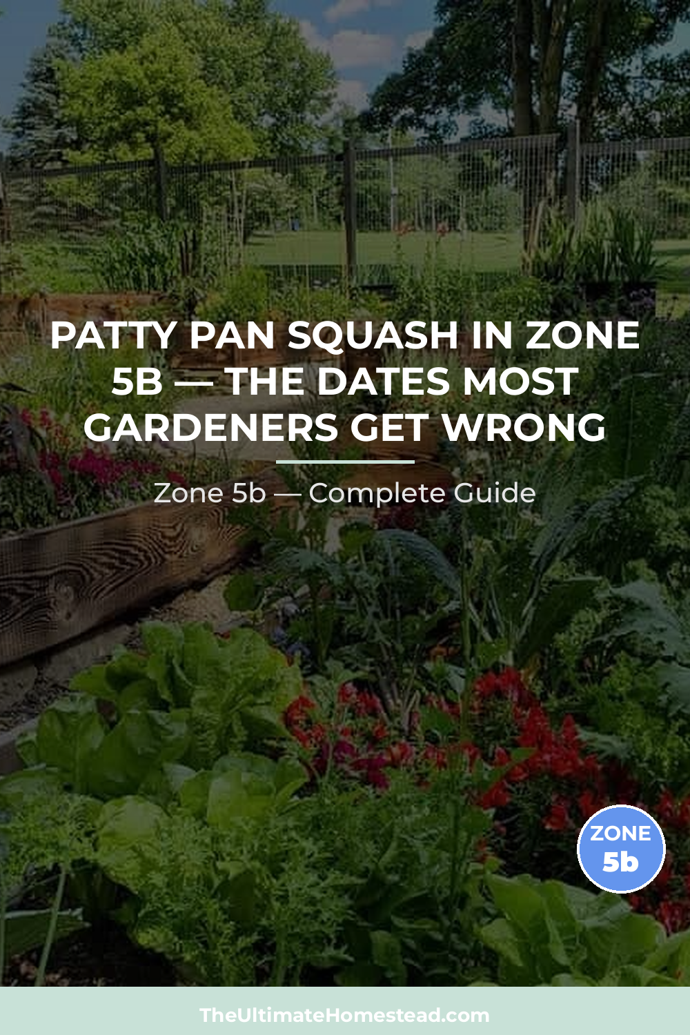When to Plant Patty Pan Squash in Zone 5b