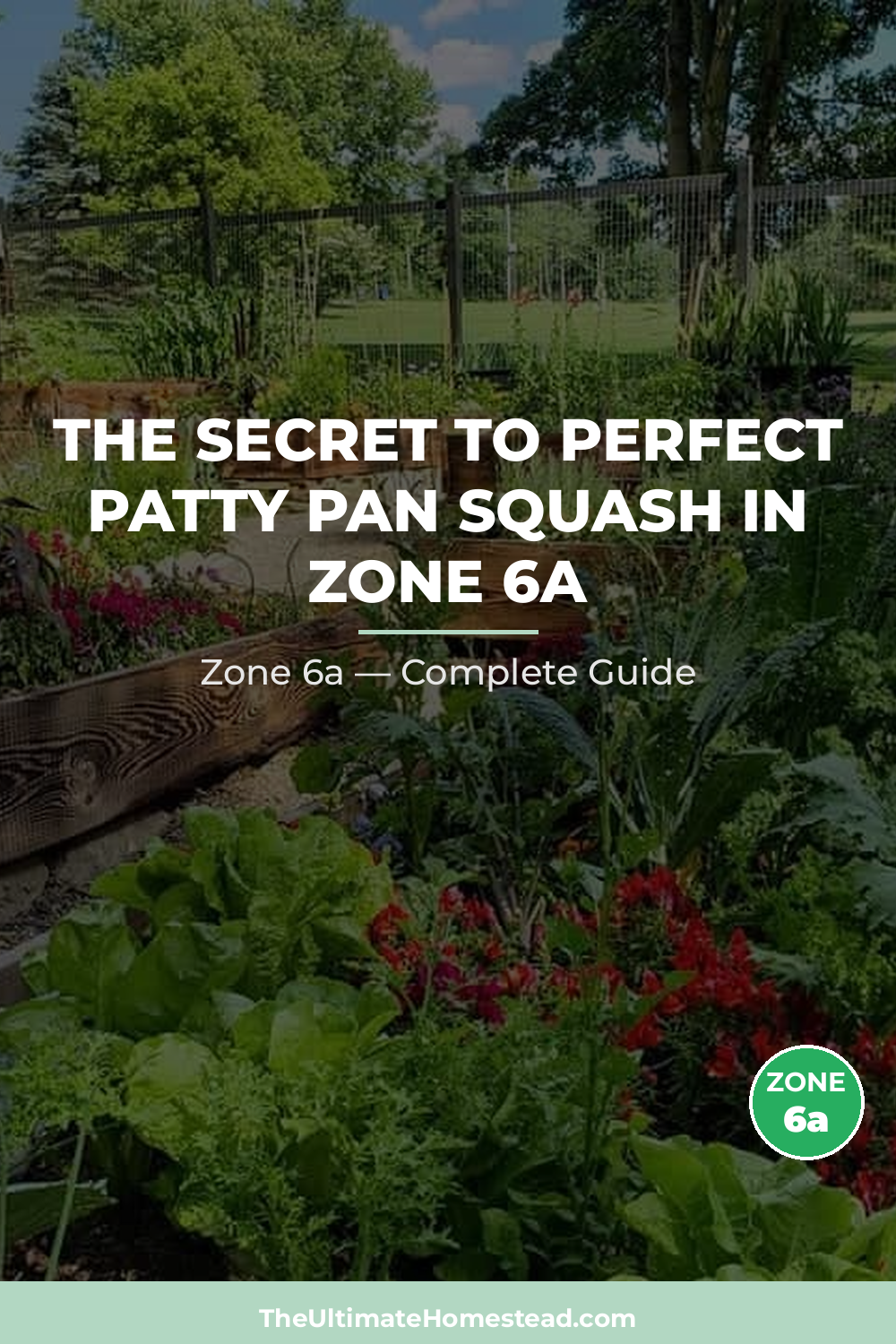 When to Plant Patty Pan Squash in Zone 6a