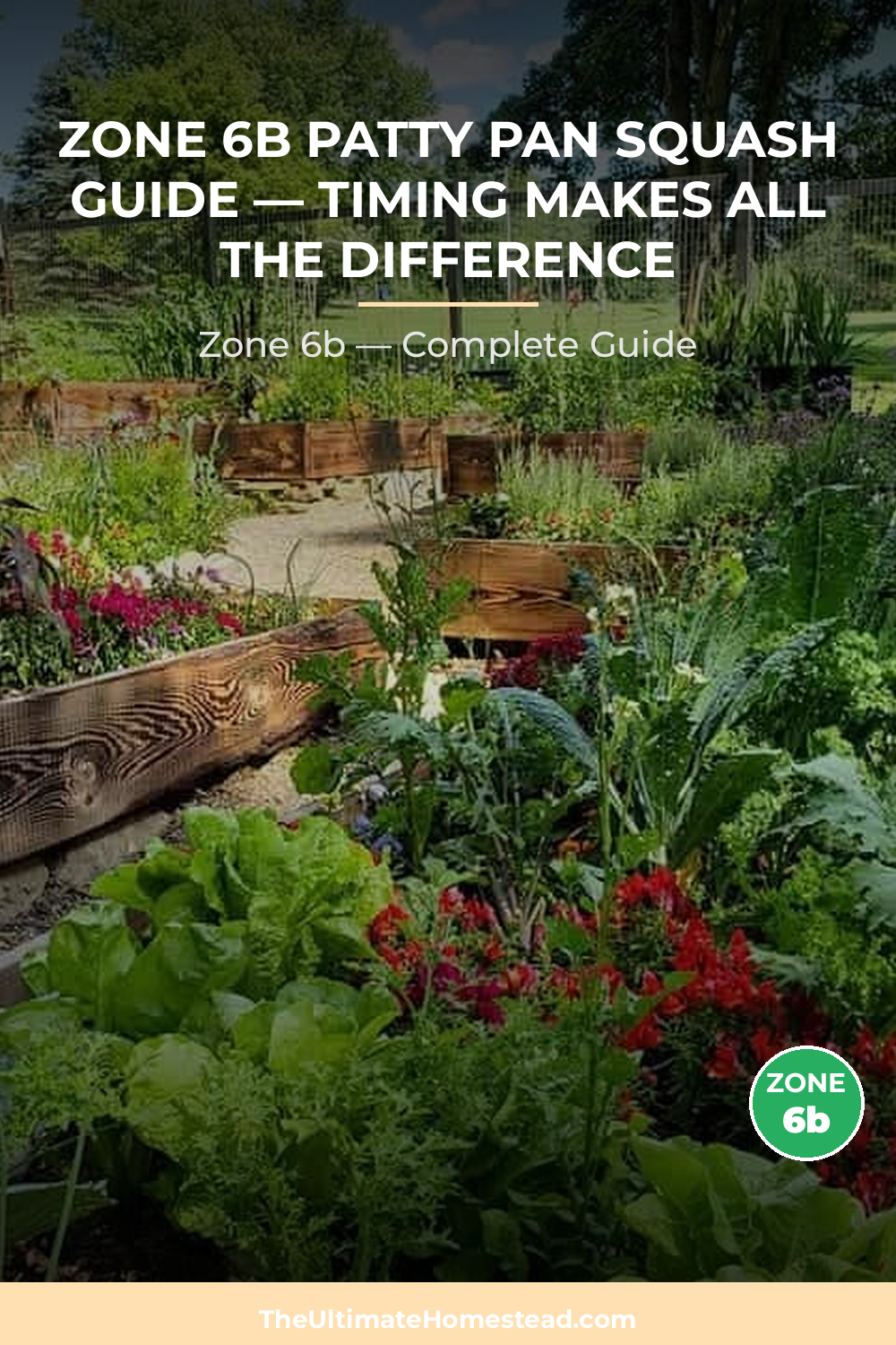 When to Plant Patty Pan Squash in Zone 6b