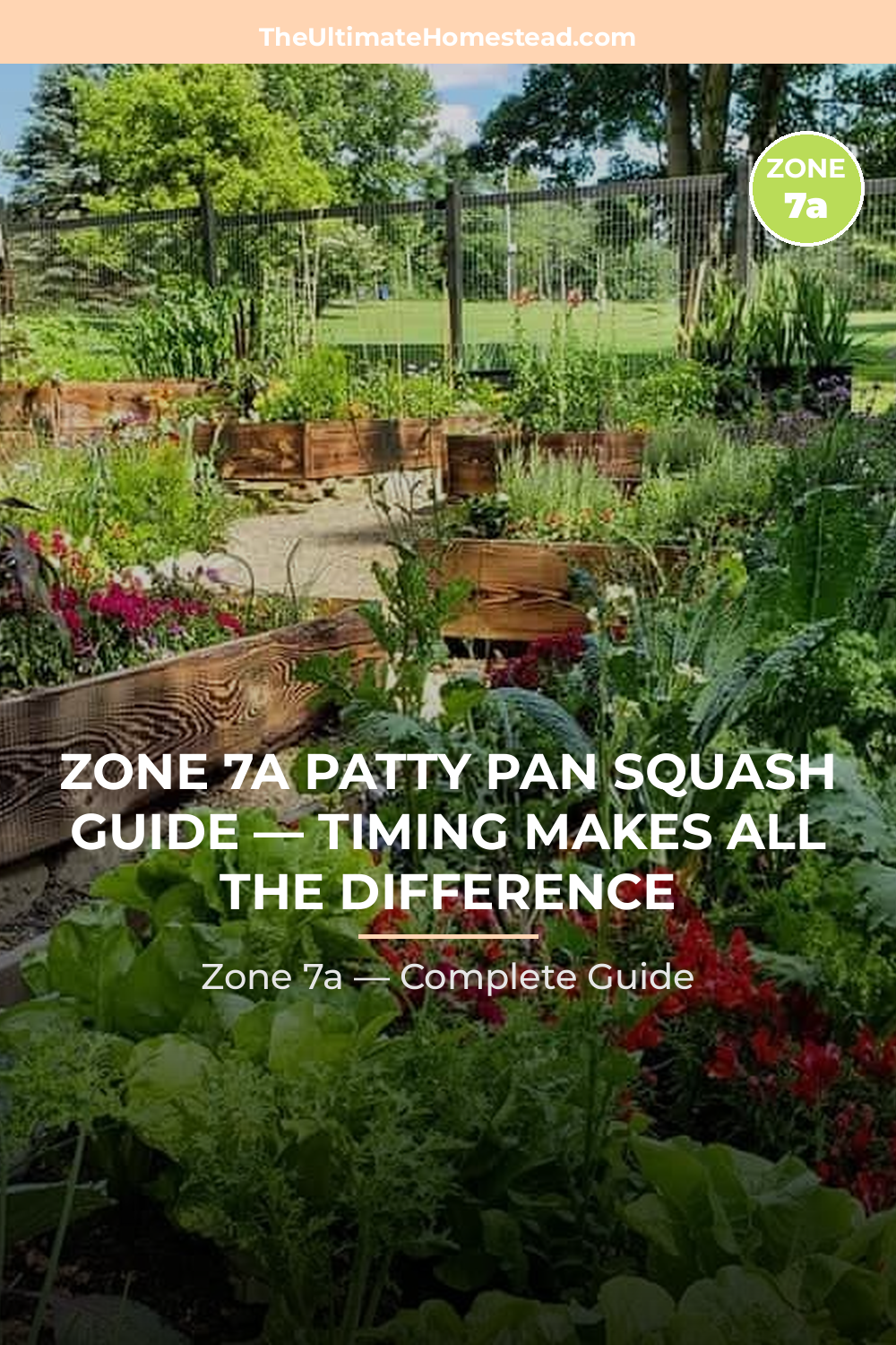 When to Plant Patty Pan Squash in Zone 7a