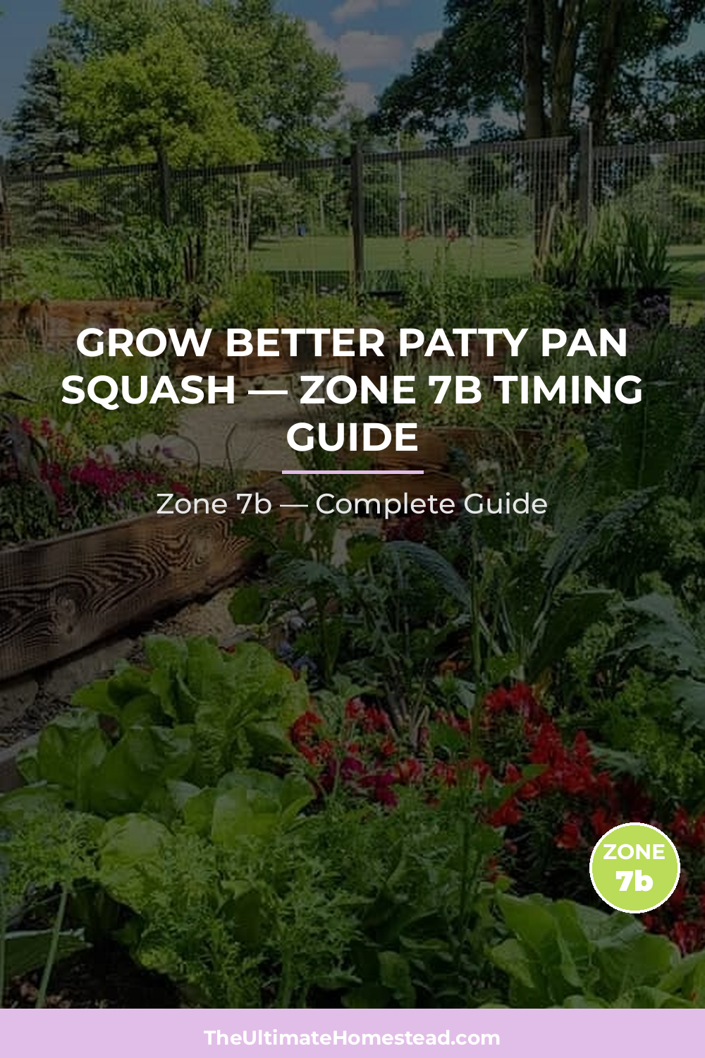 When to Plant Patty Pan Squash in Zone 7b