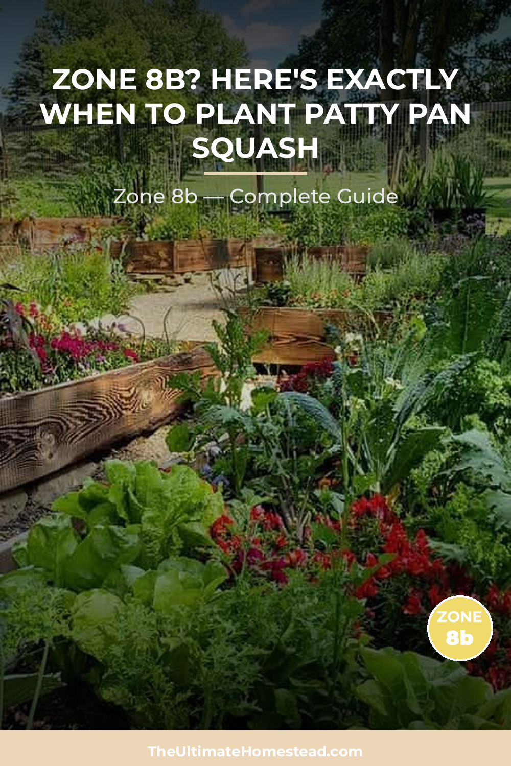 When to Plant Patty Pan Squash in Zone 8b