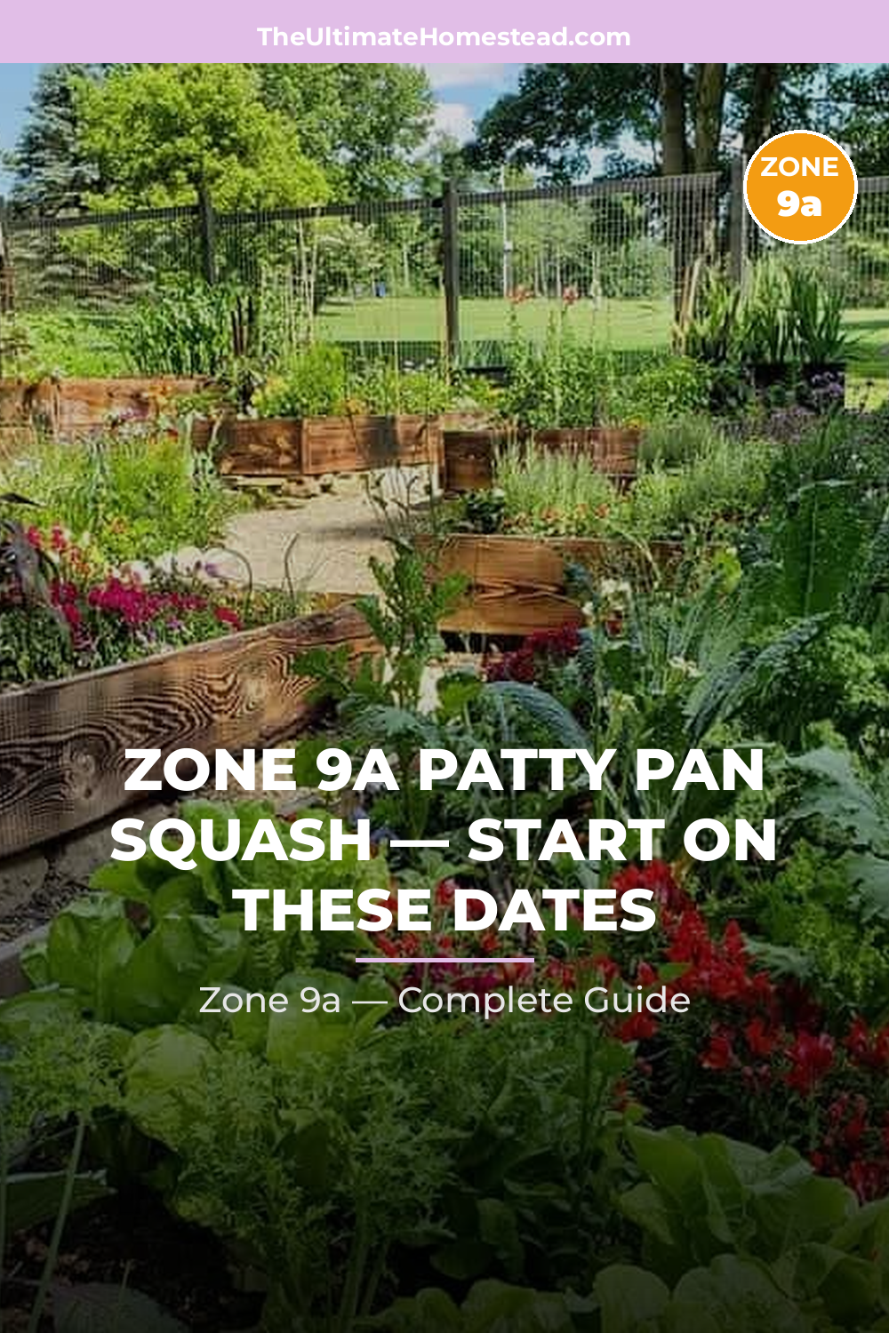 When to Plant Patty Pan Squash in Zone 9a