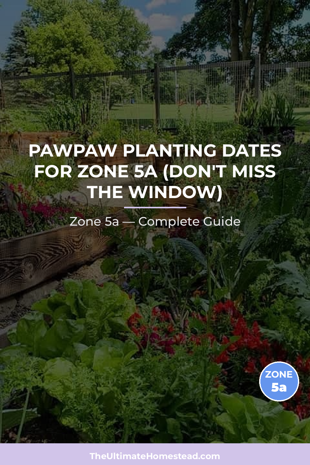 When to Plant Pawpaw in Zone 5a