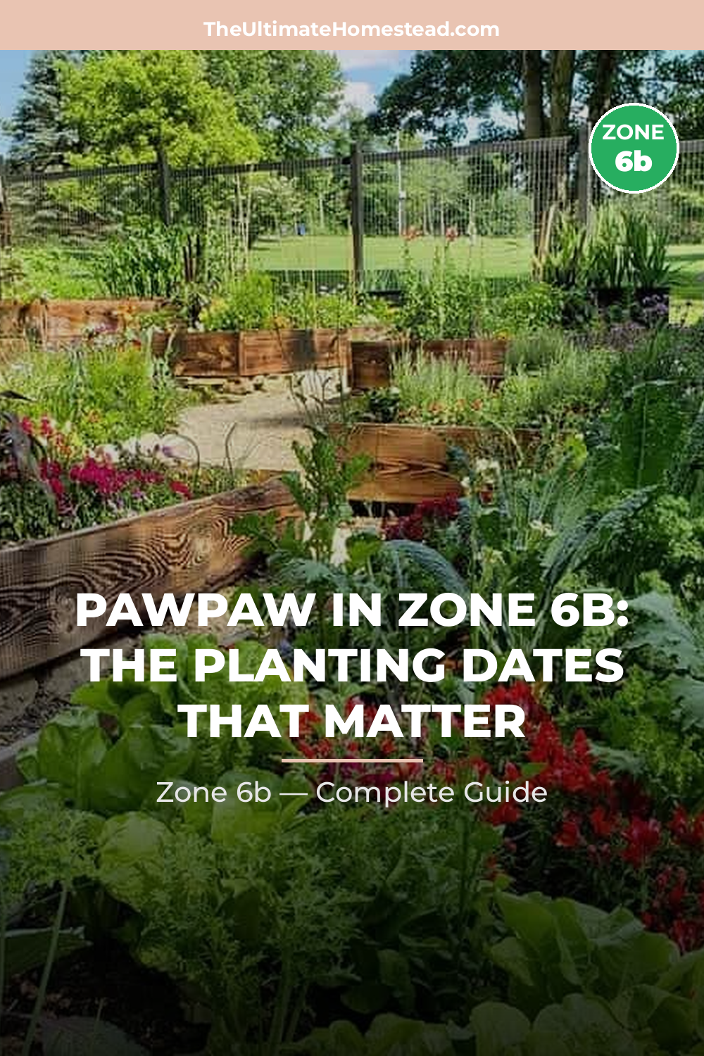 When to Plant Pawpaw in Zone 6b