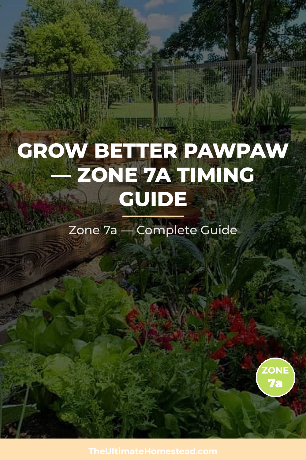 When to Plant Pawpaw in Zone 7a