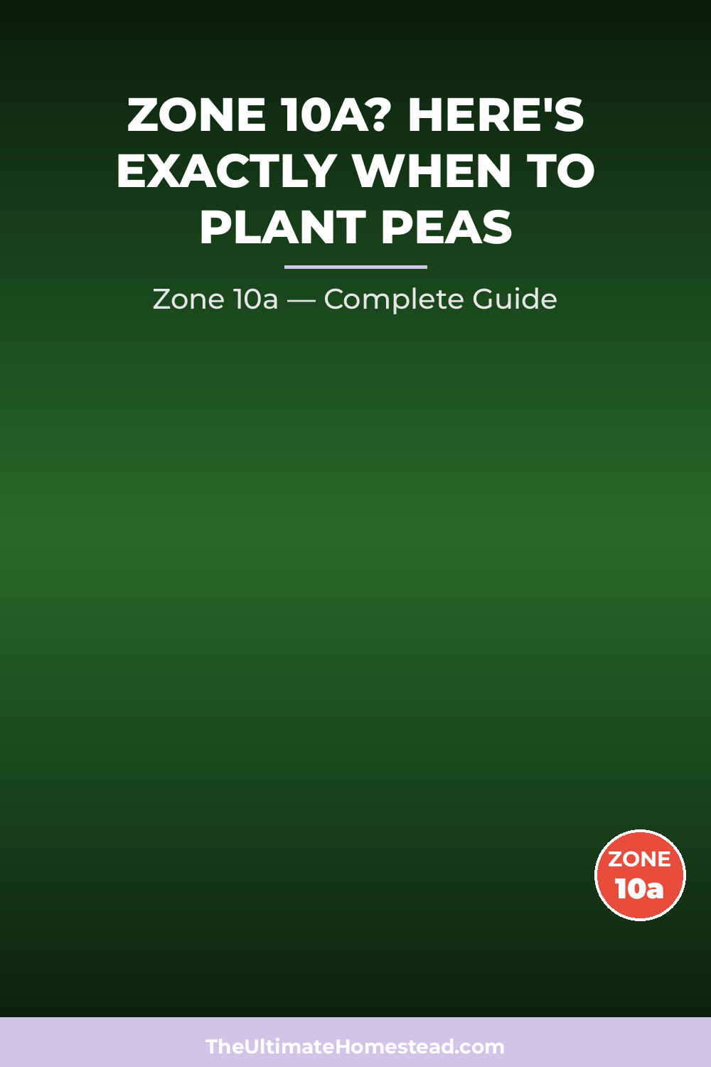 When to Plant Peas in Zone 10a