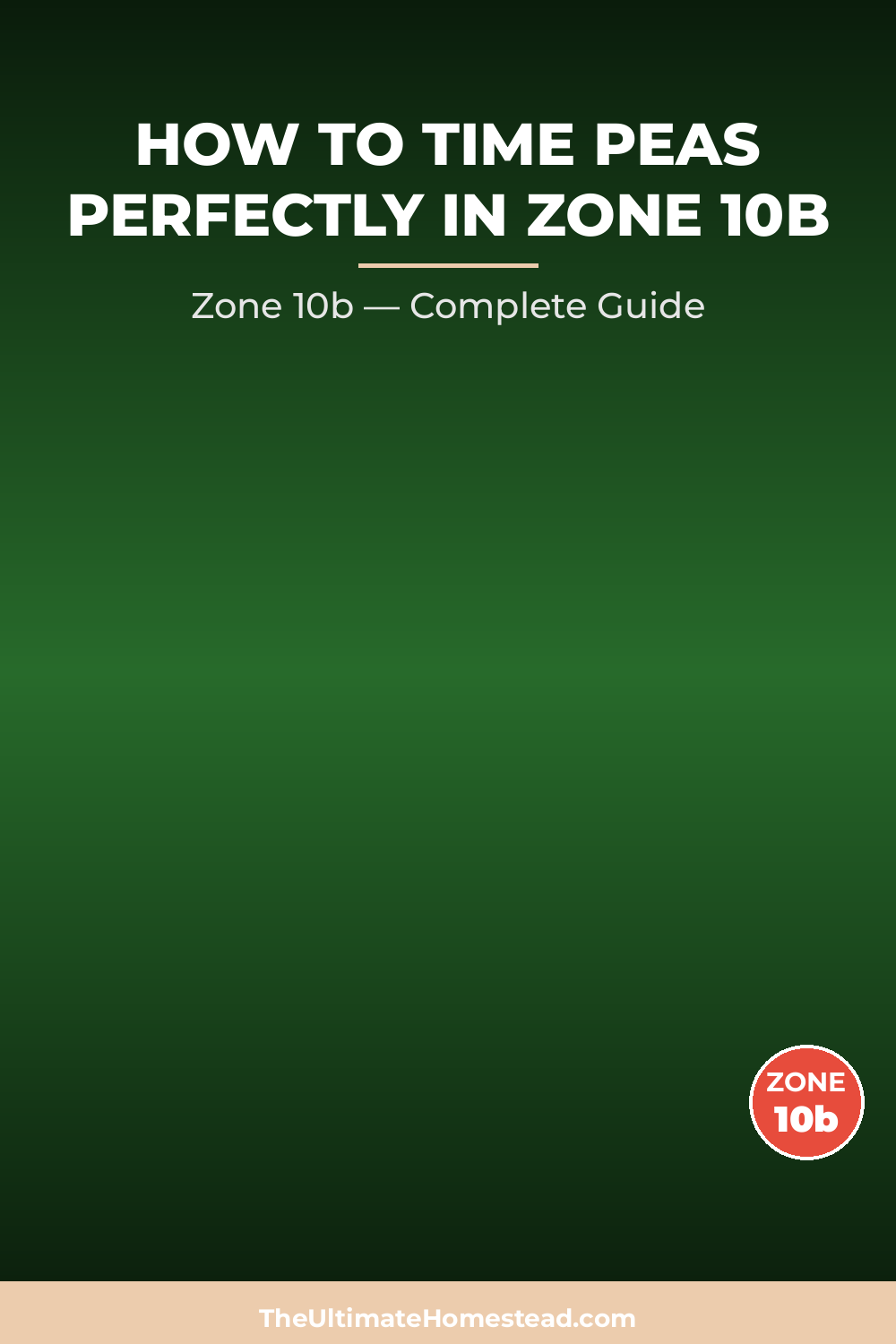 When to Plant Peas in Zone 10b