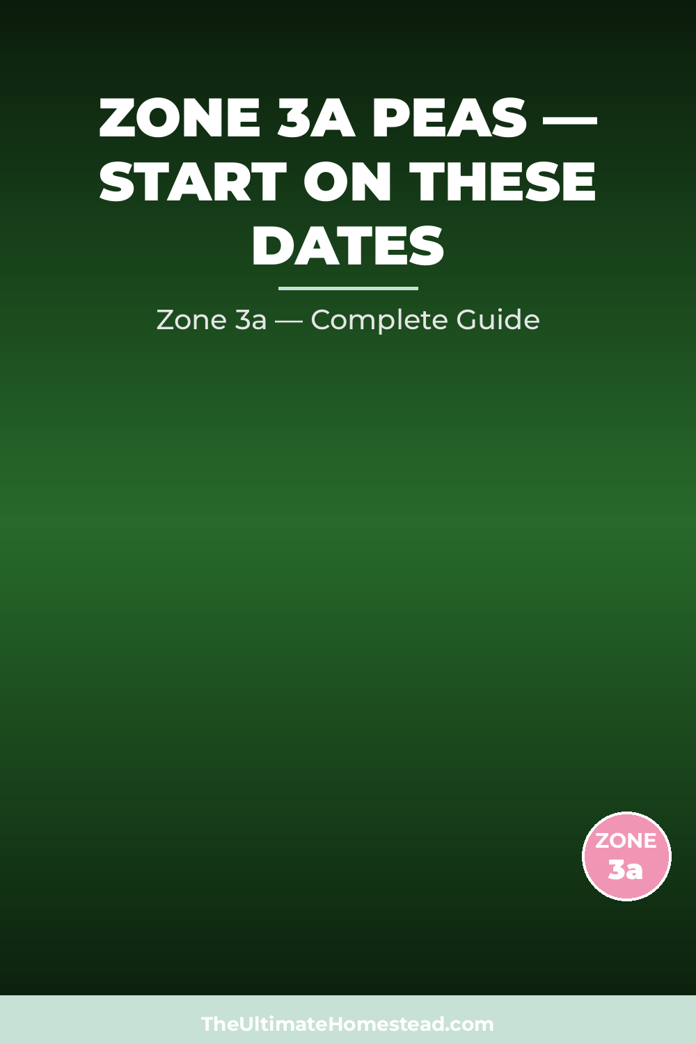 When to Plant Peas in Zone 3a