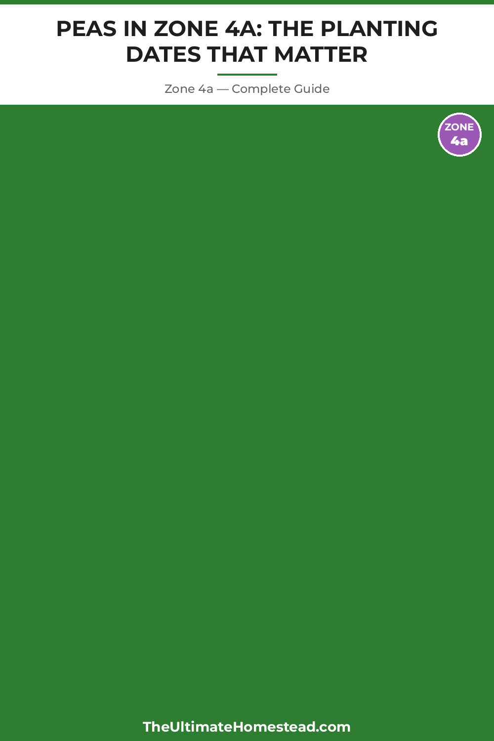 When to Plant Peas in Zone 4a