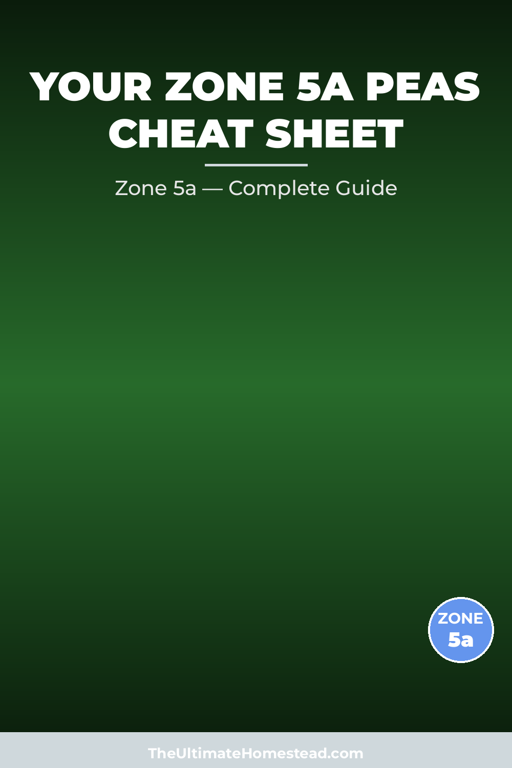 When to Plant Peas in Zone 5a