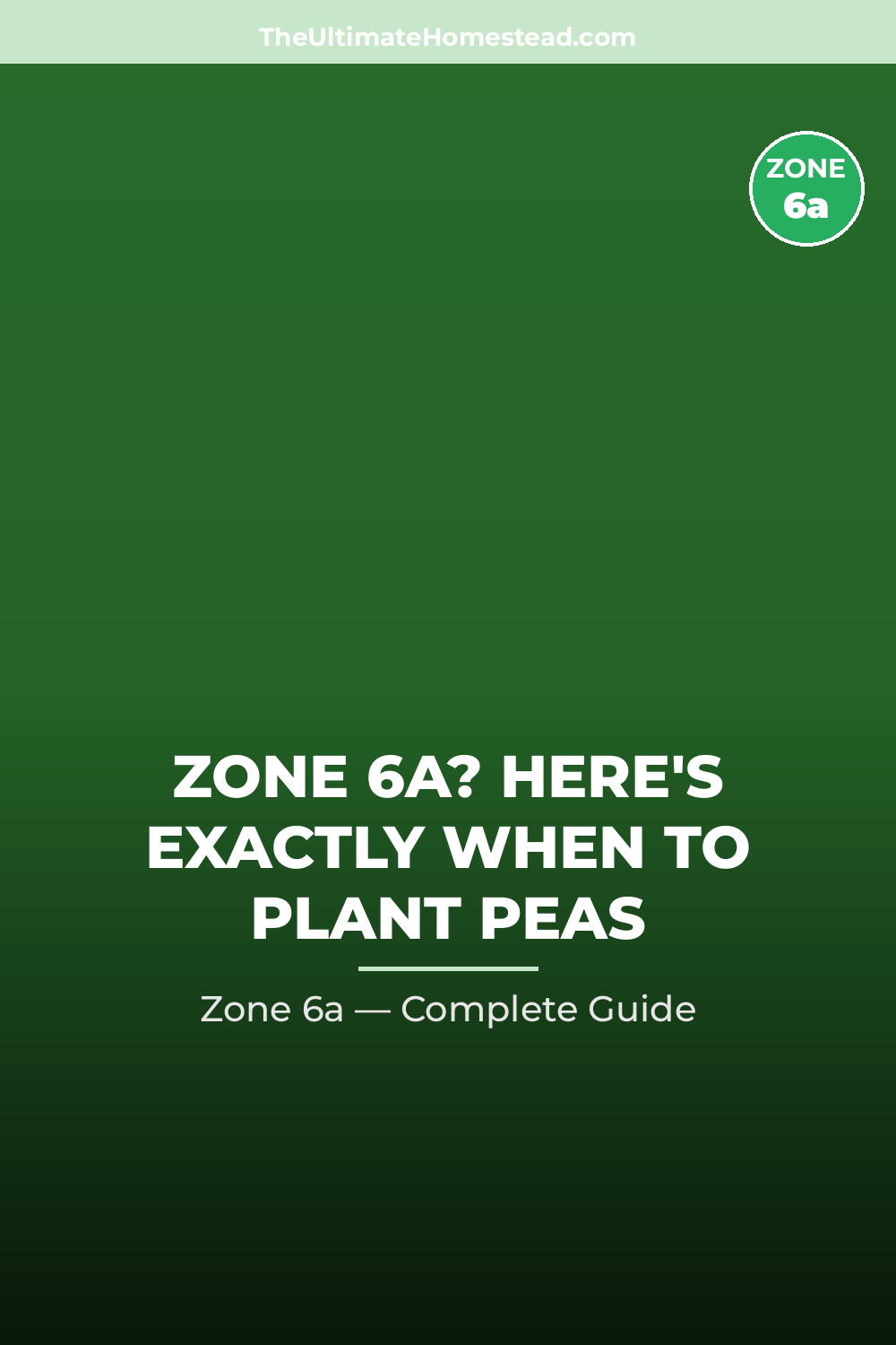 When to Plant Peas in Zone 6a