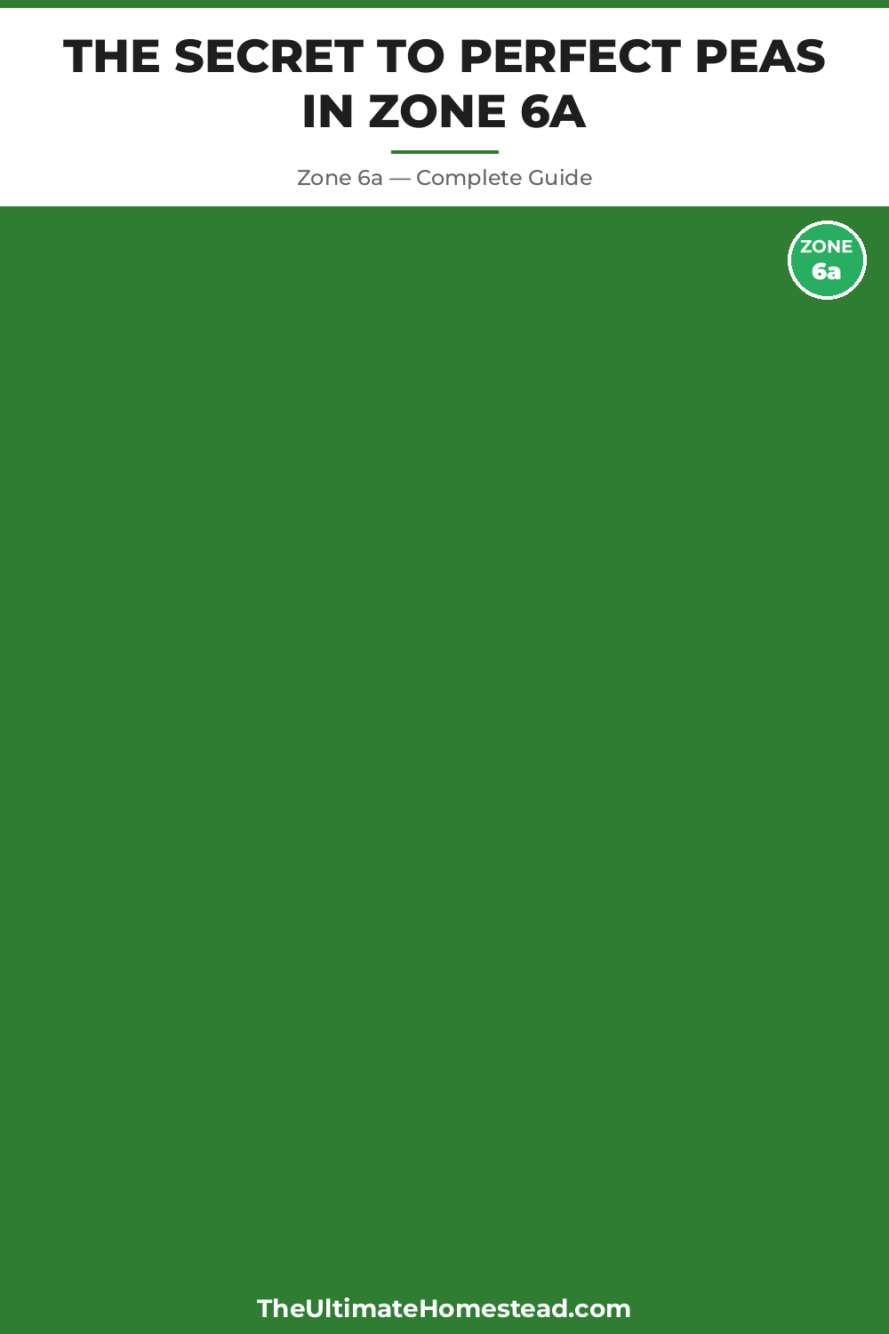 When to Plant Peas in Zone 6a