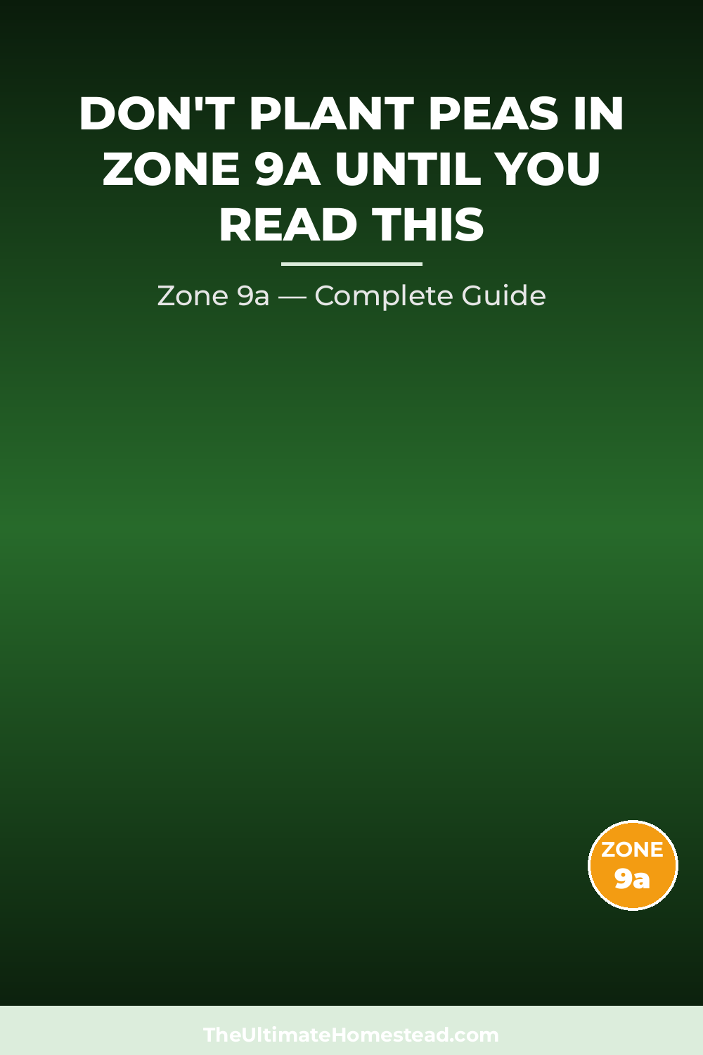 When to Plant Peas in Zone 9a