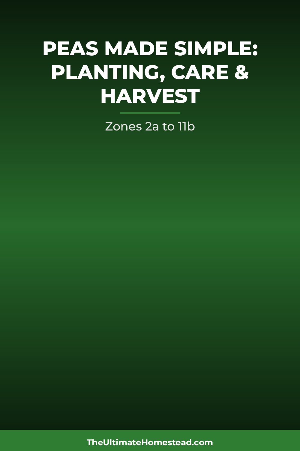 Peas Planting Guide