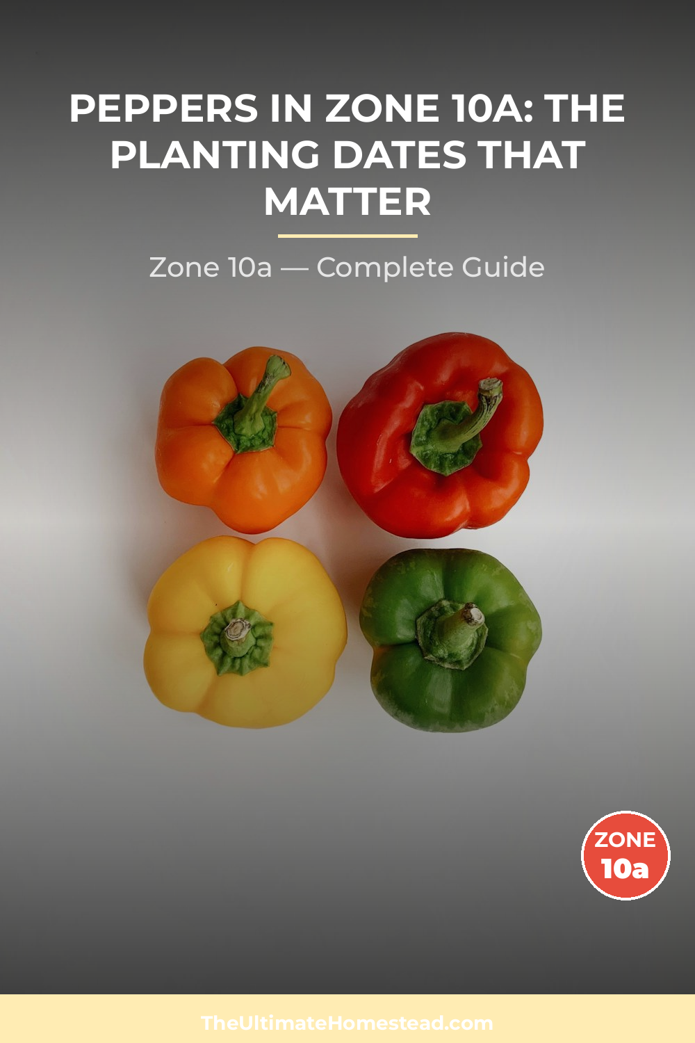 When to Plant Peppers in Zone 10a