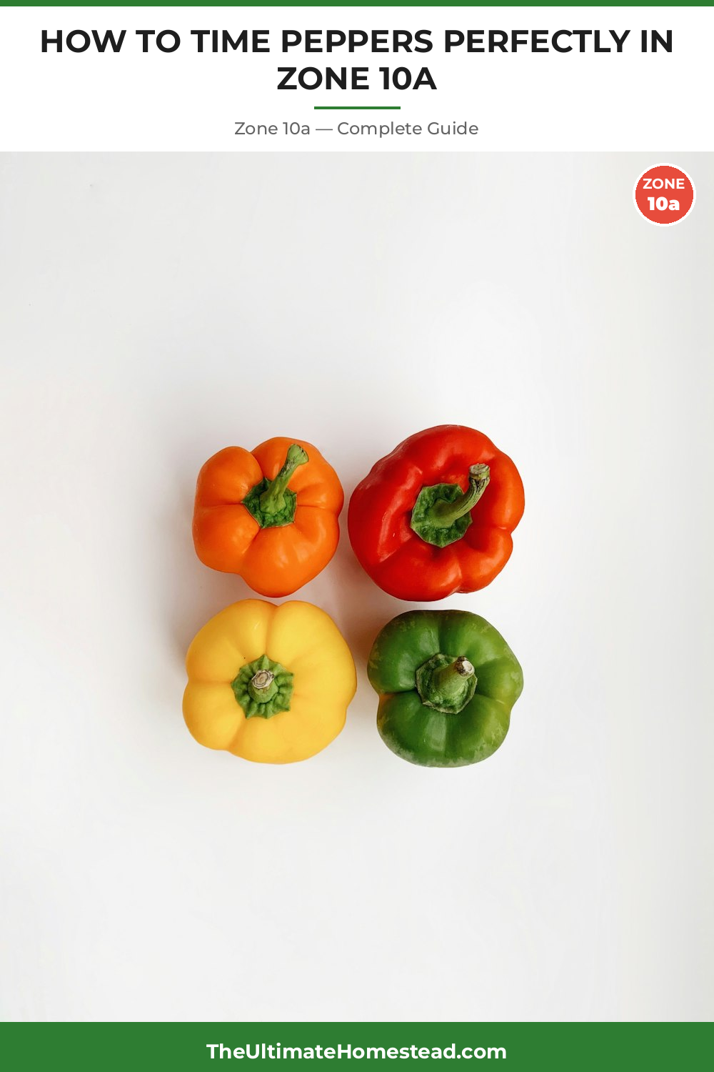 When to Plant Peppers in Zone 10a