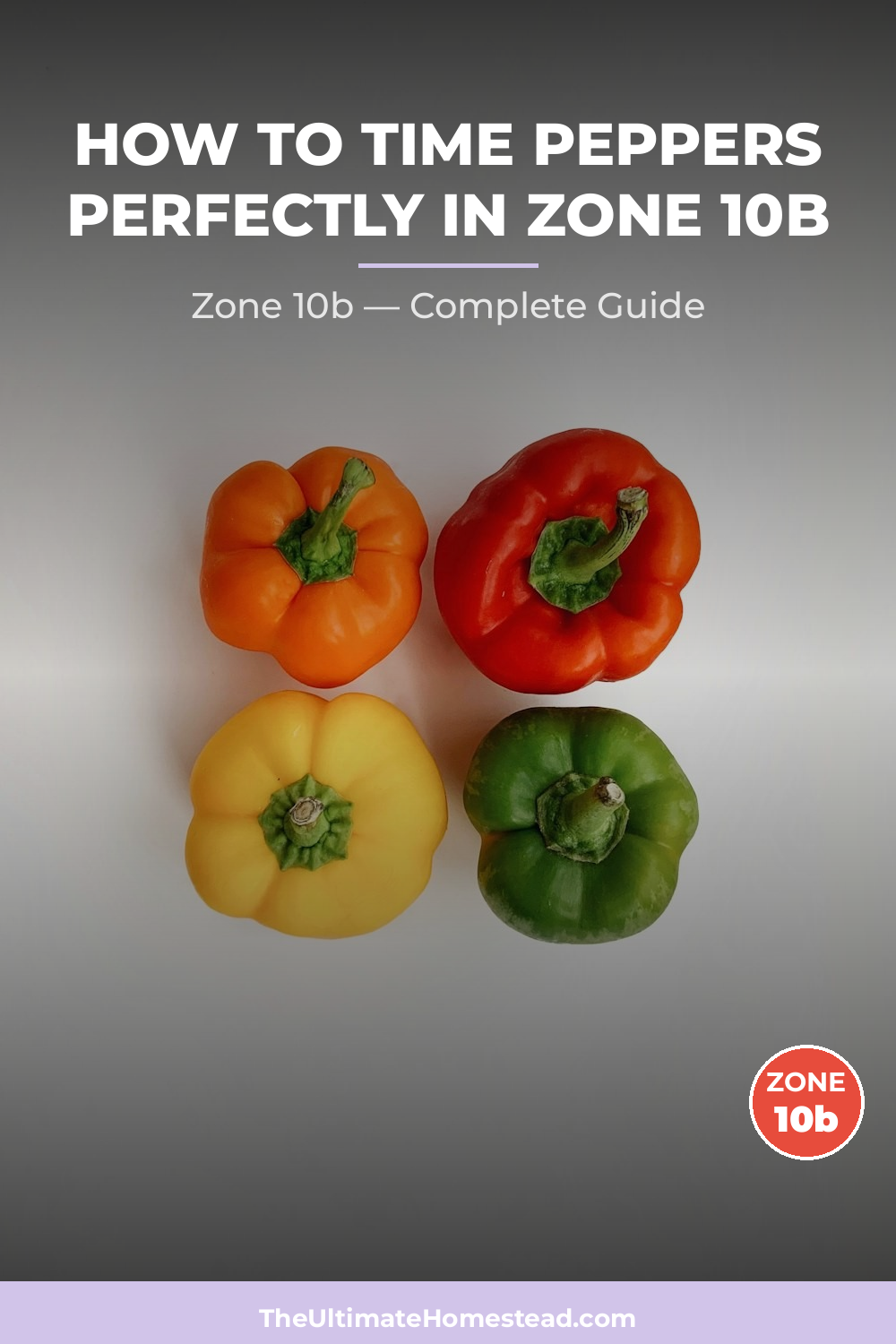 When to Plant Peppers in Zone 10b