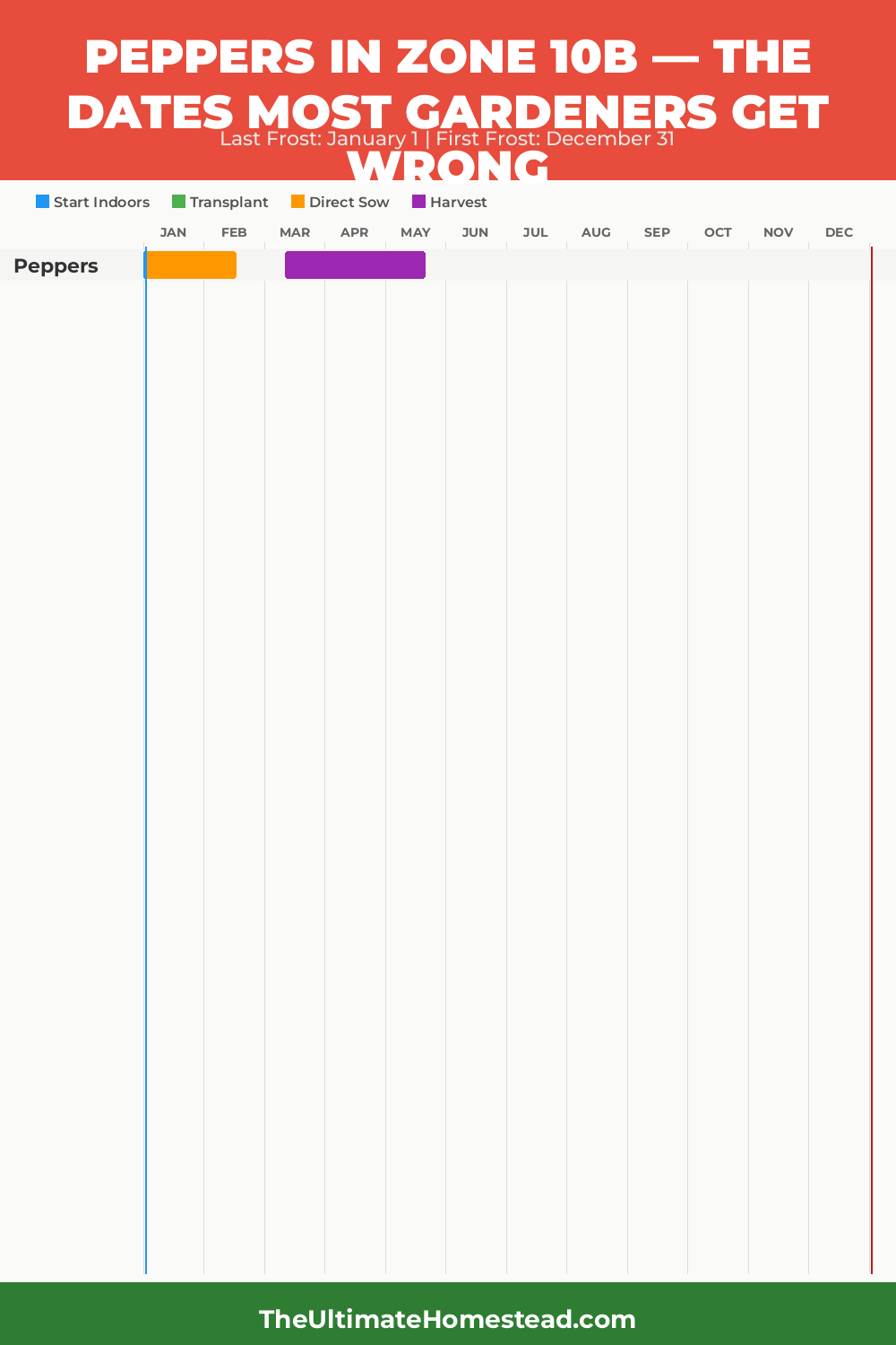 When to Plant Peppers in Zone 10b