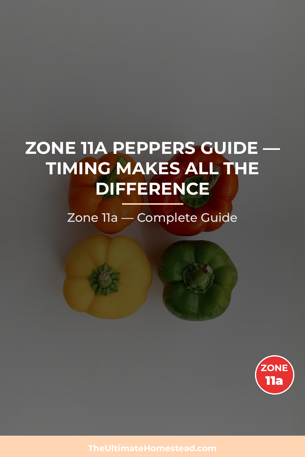 When to Plant Peppers in Zone 11a