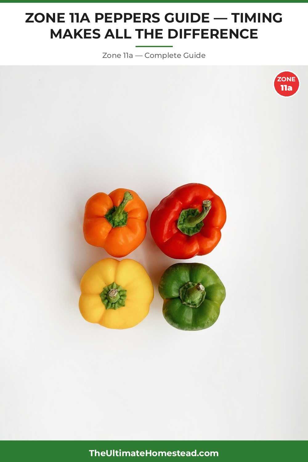 When to Plant Peppers in Zone 11a
