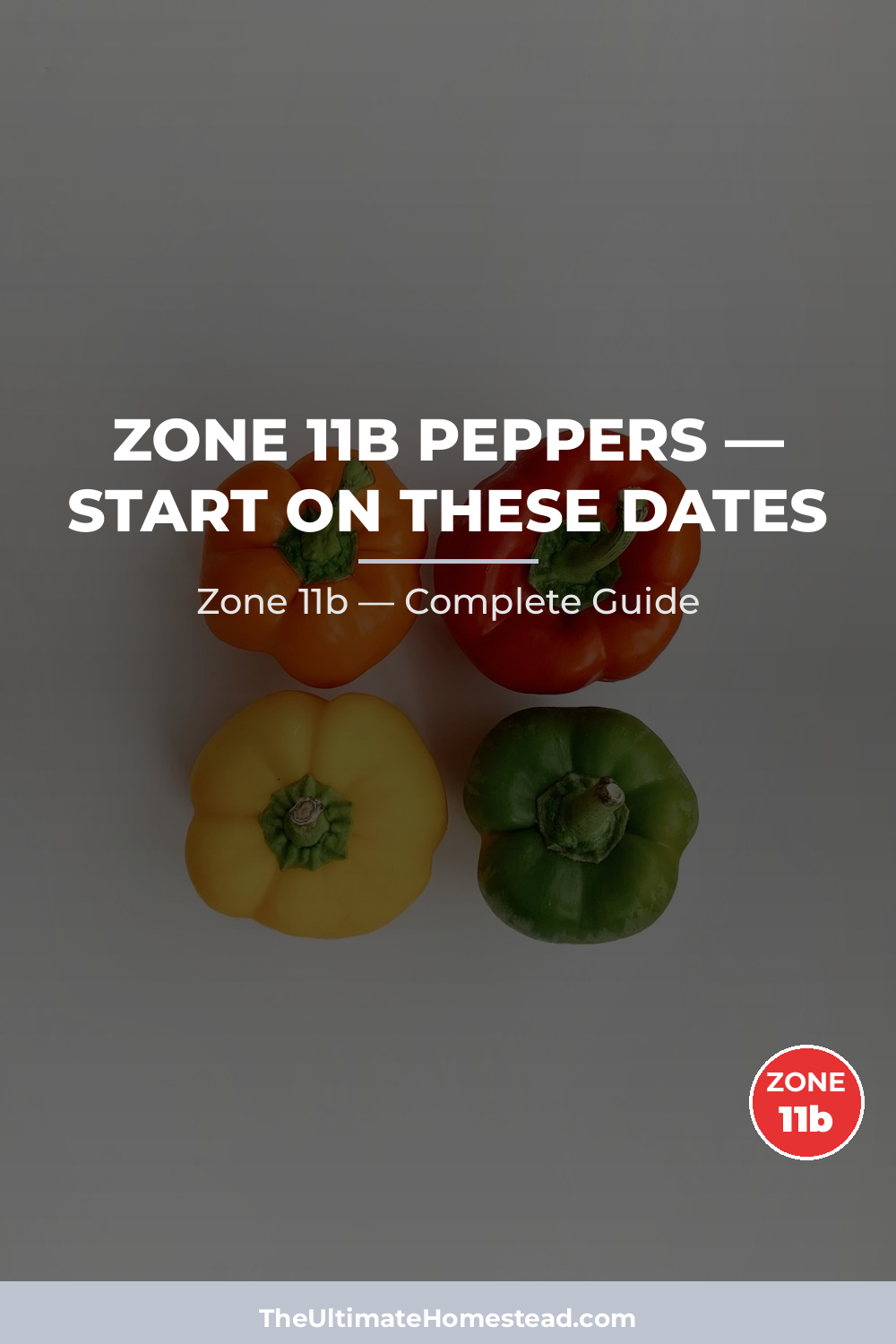 When to Plant Peppers in Zone 11b