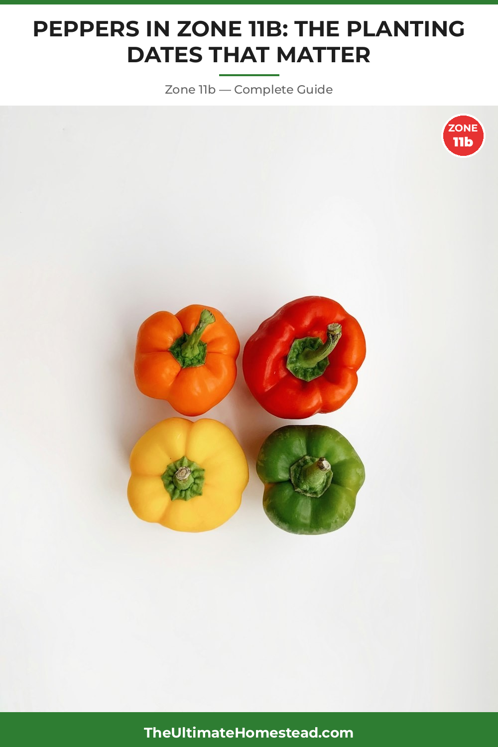 When to Plant Peppers in Zone 11b